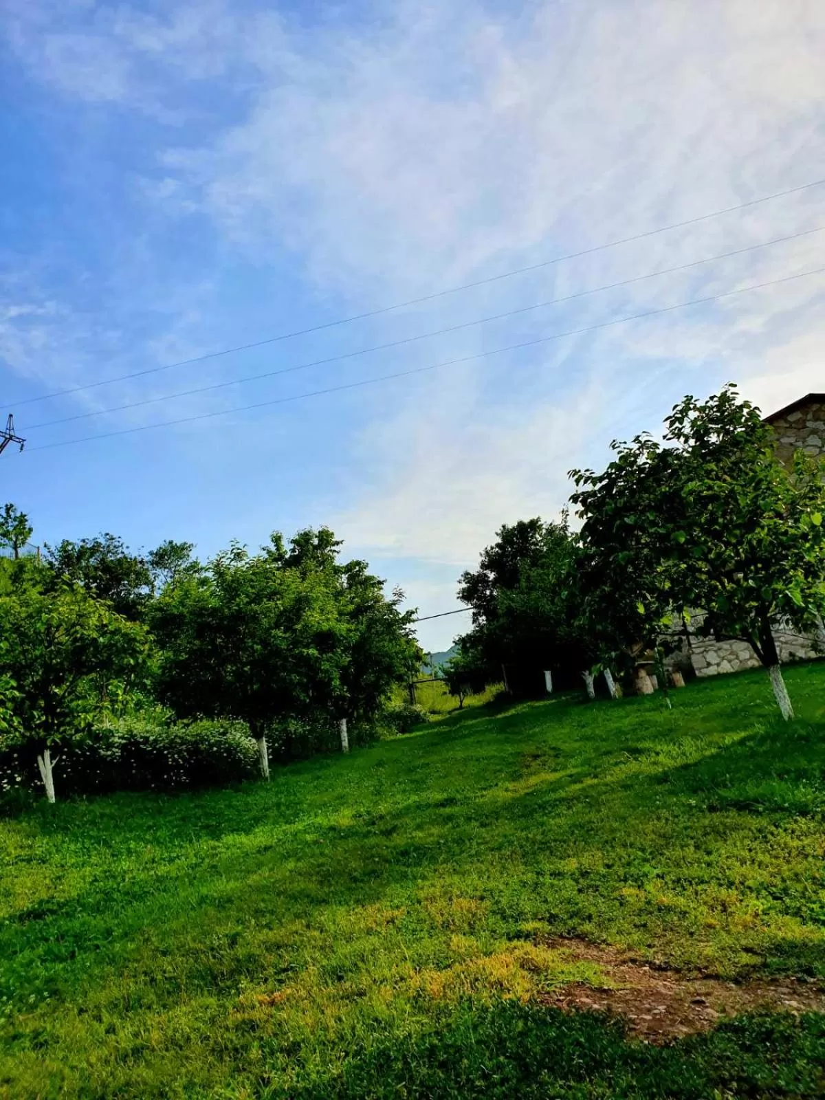 Spring, Garden in Guest house Ijevan's Garden