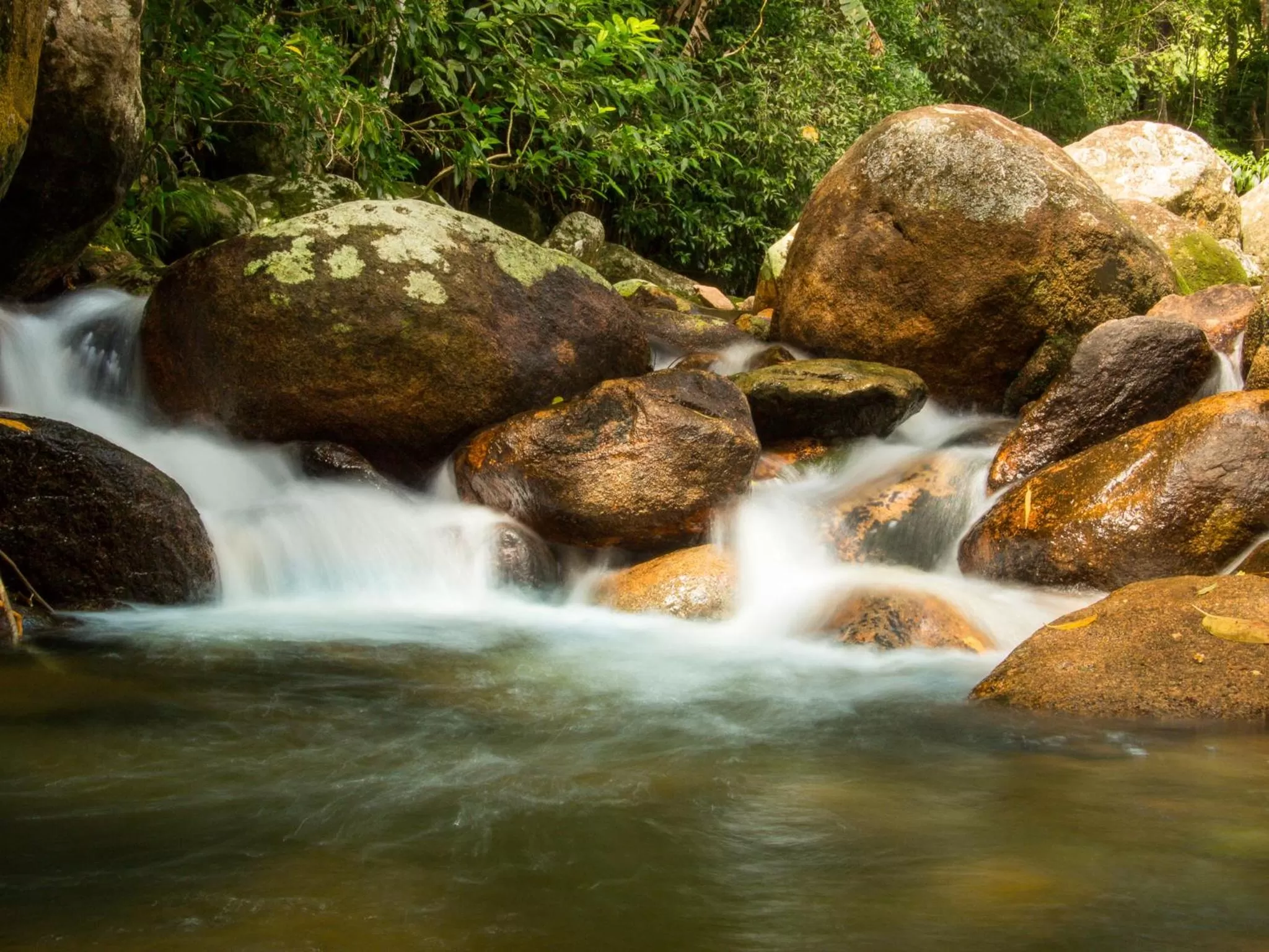 Hotel Caldas da Imperatriz