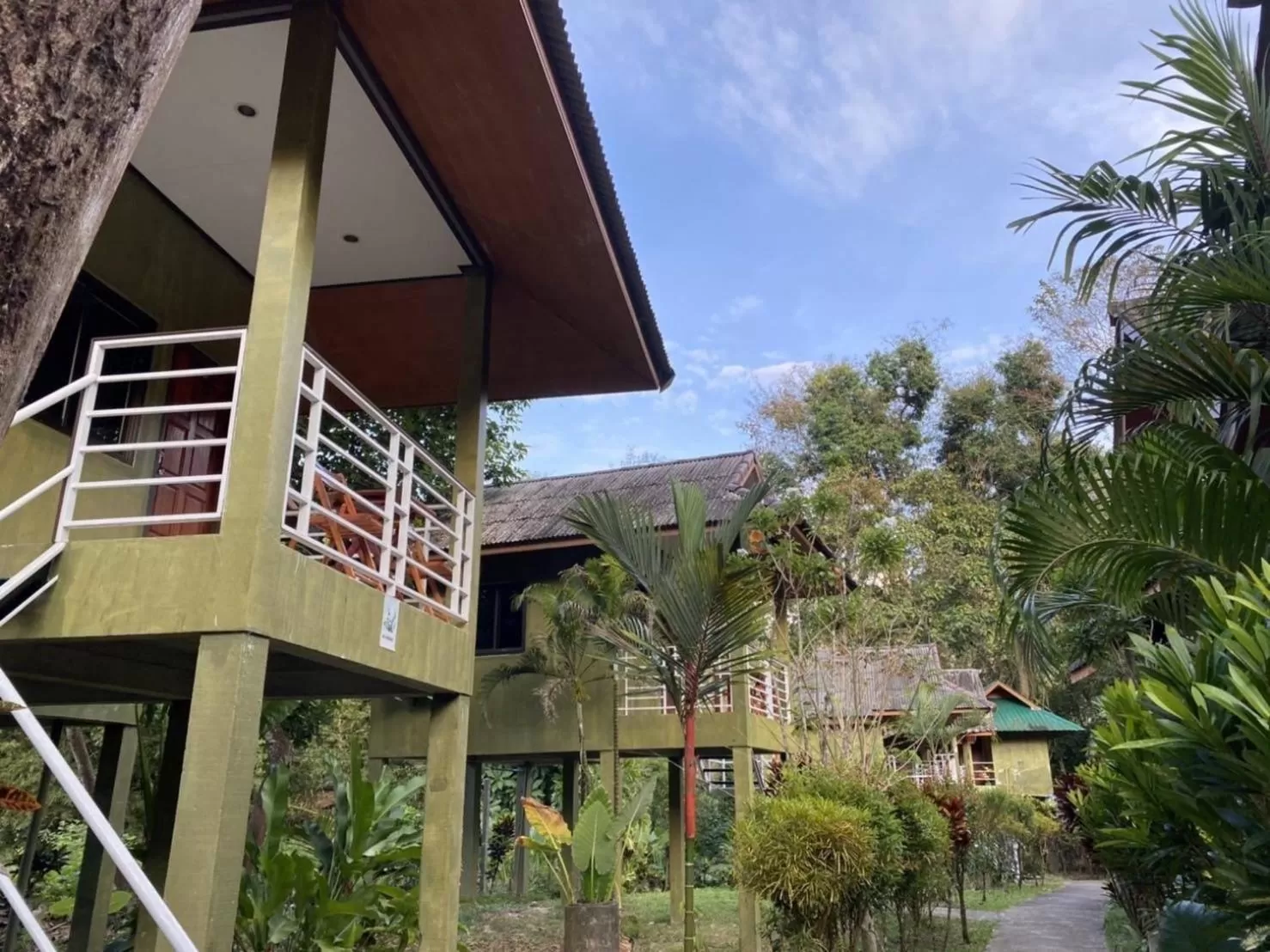 Property building in Khao Sok Jungle Huts Resort