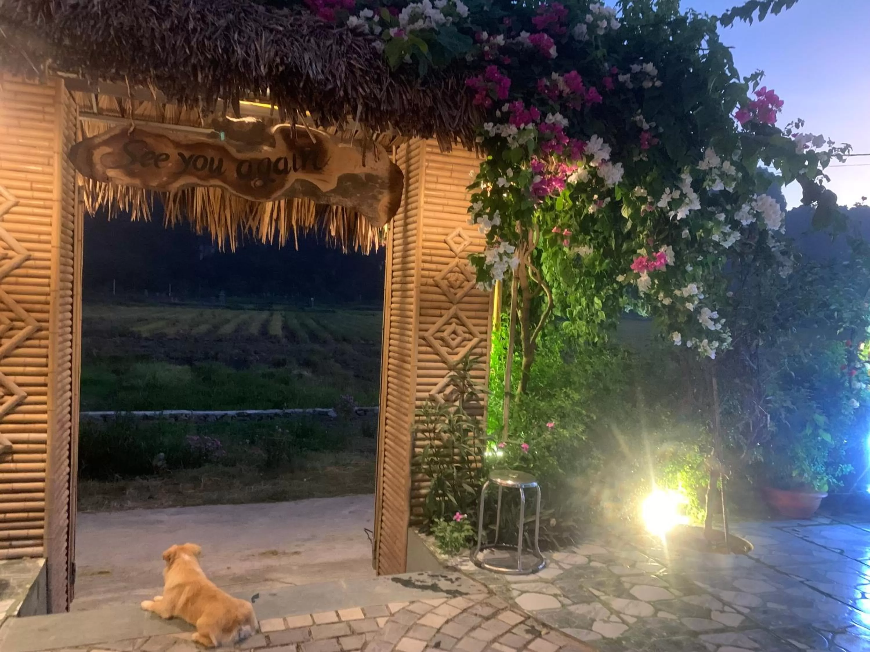 Patio in Tam Coc Minh Hung Homestay