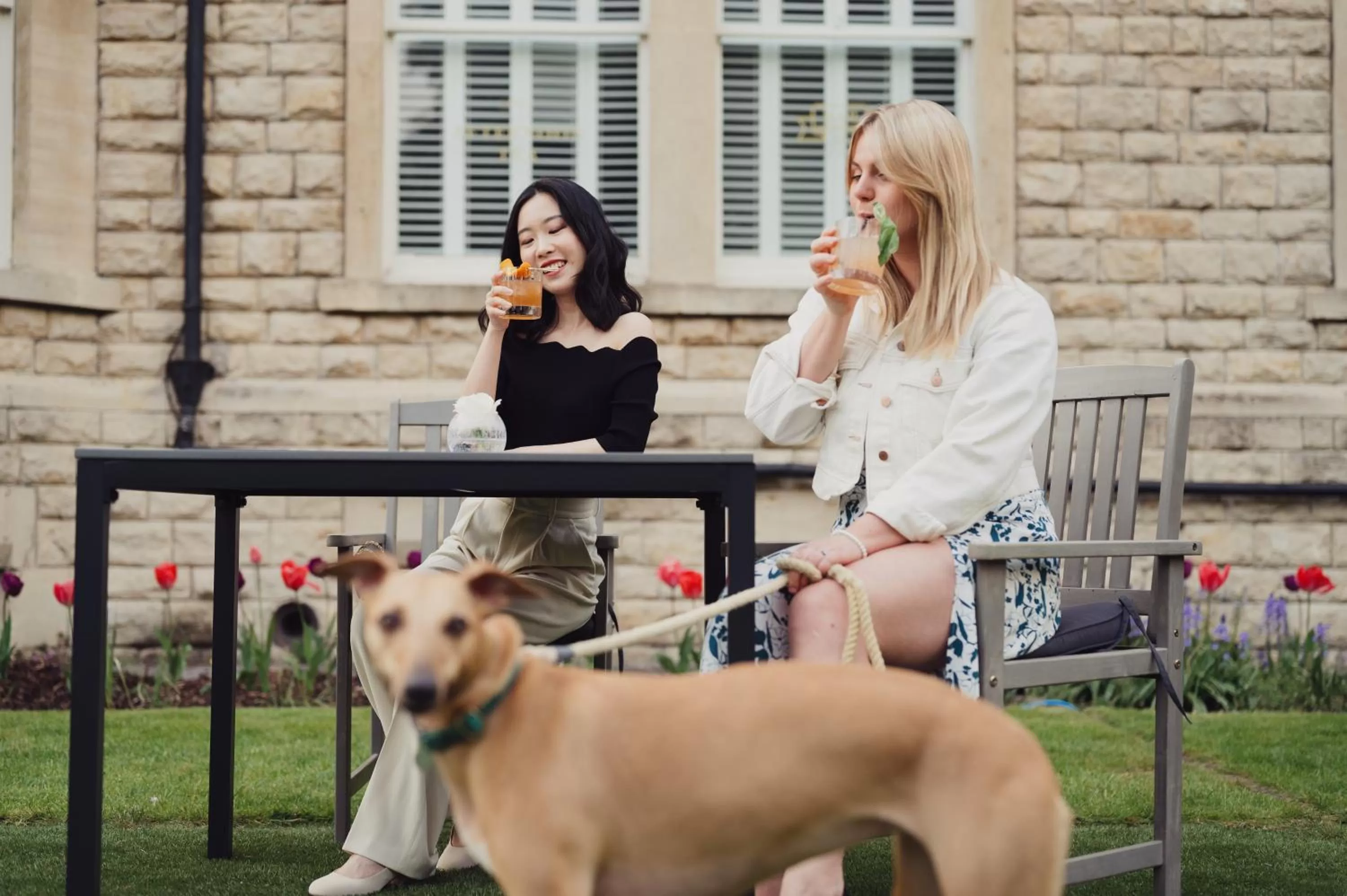 Pets in The Roseate Villa Bath