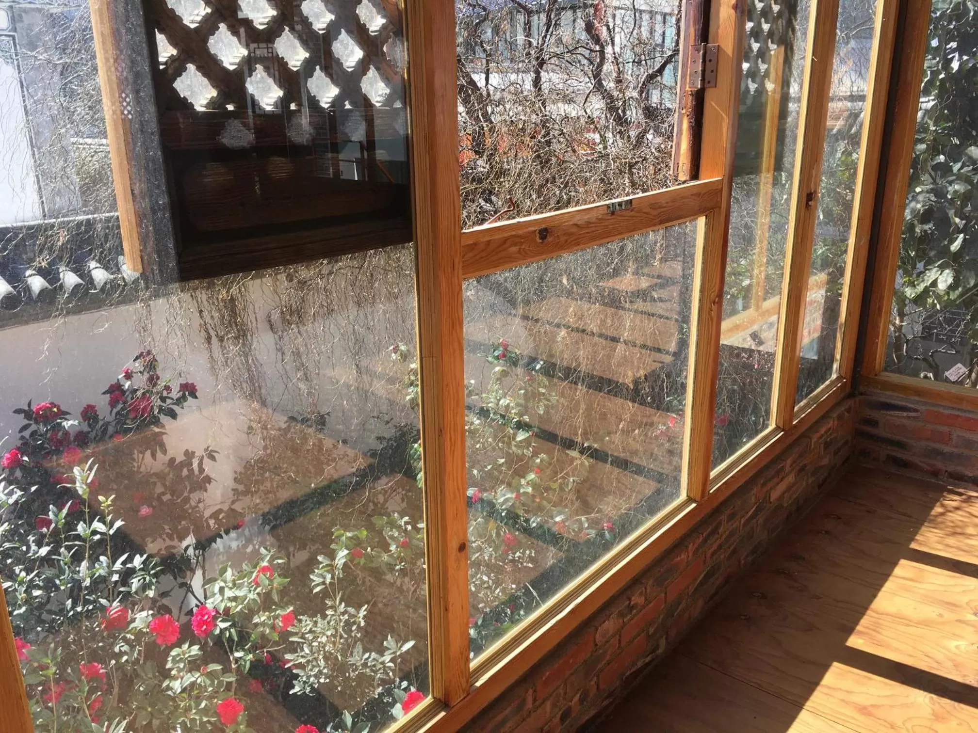 Spring in The Lily Pad Inn