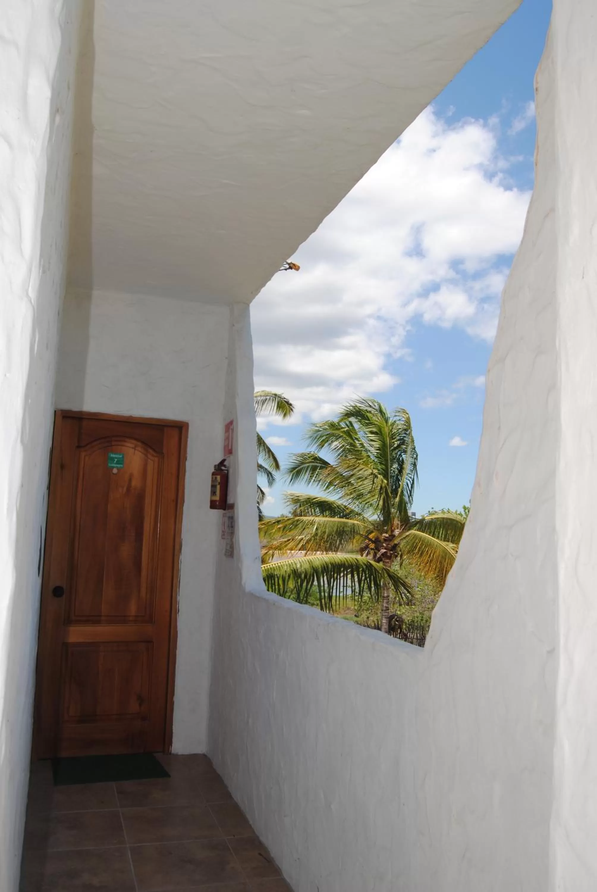 Property building, Balcony/Terrace in Hostal Galapagos by Bar de Beto