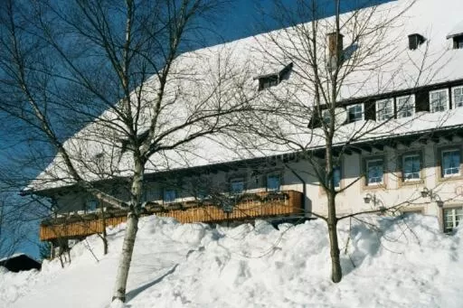 Property building in ZUR TRAUBE Schwarzwaldhotel & Restaurant am Titisee
