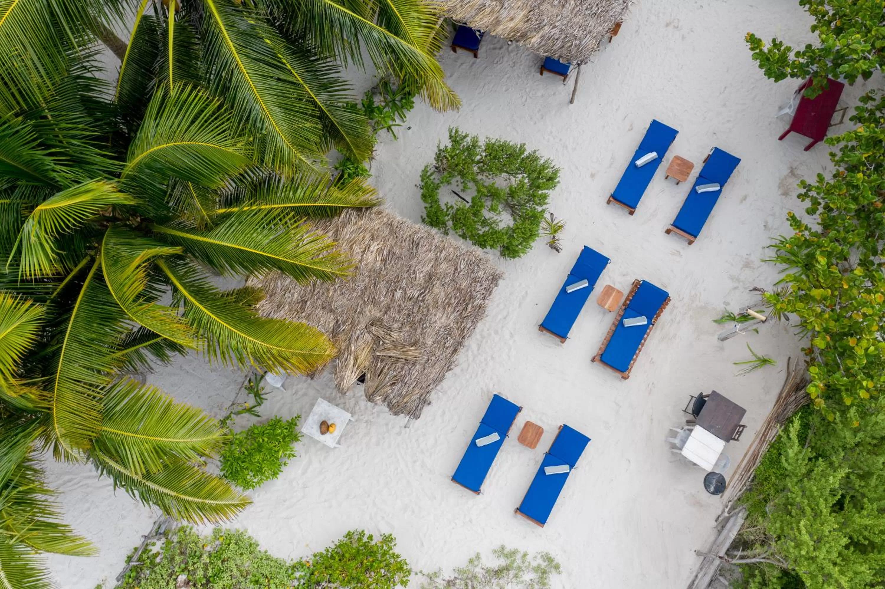 Bird's eye view in Casa Mate BeachFront Cabañas El Cuyo
