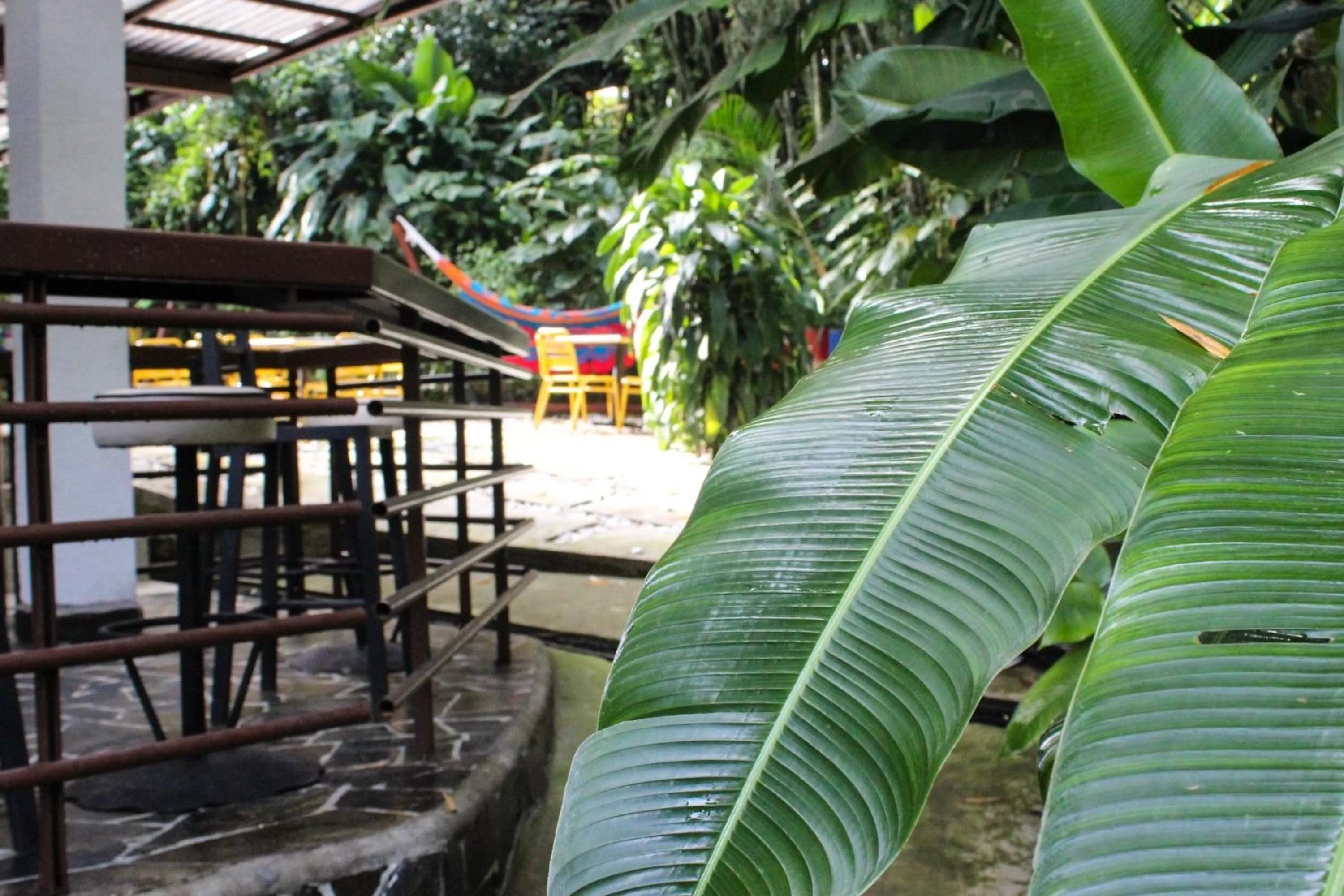 Patio in Hotel Bambu Inn