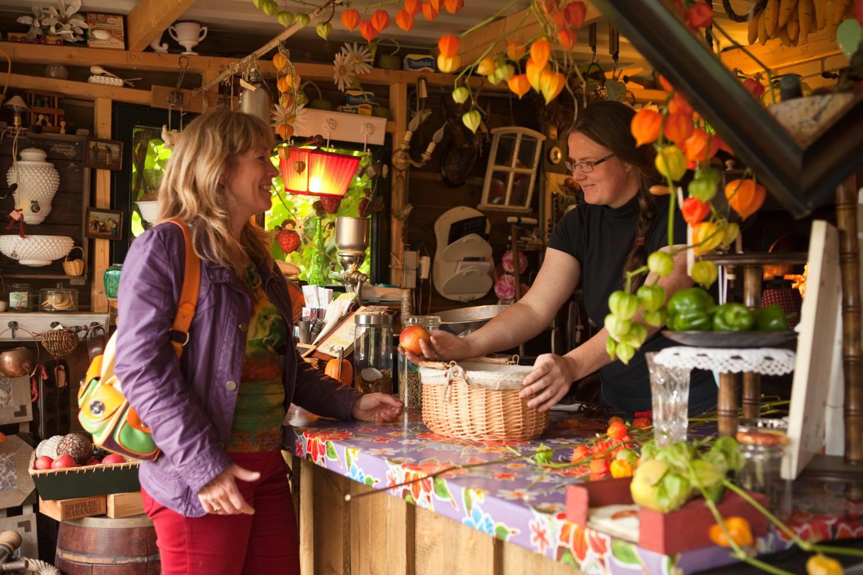 Area and facilities in Hof van Putten
