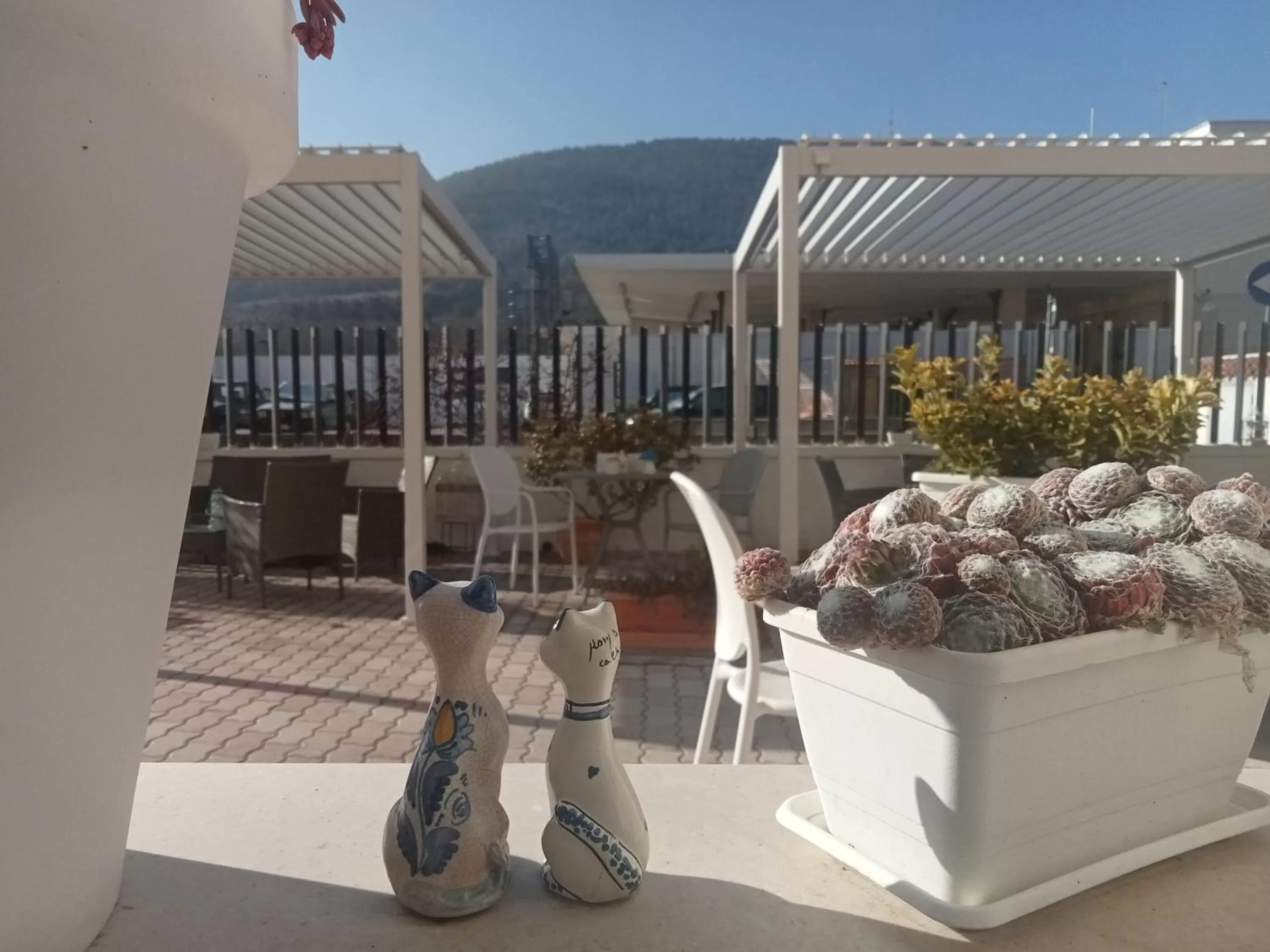 Patio in Hotel Porta Rivera