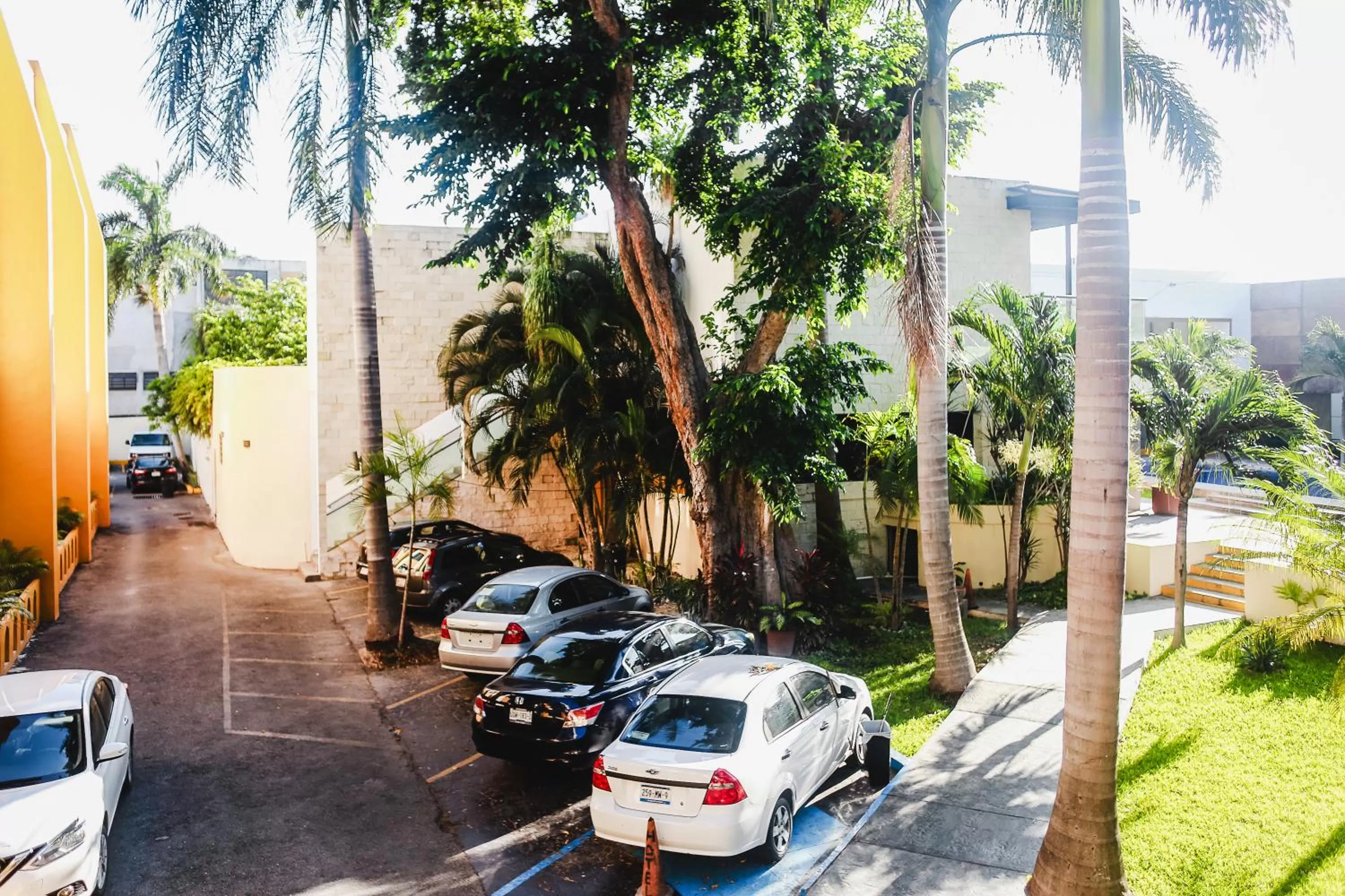 Garden view in Hotel Plaza Mirador