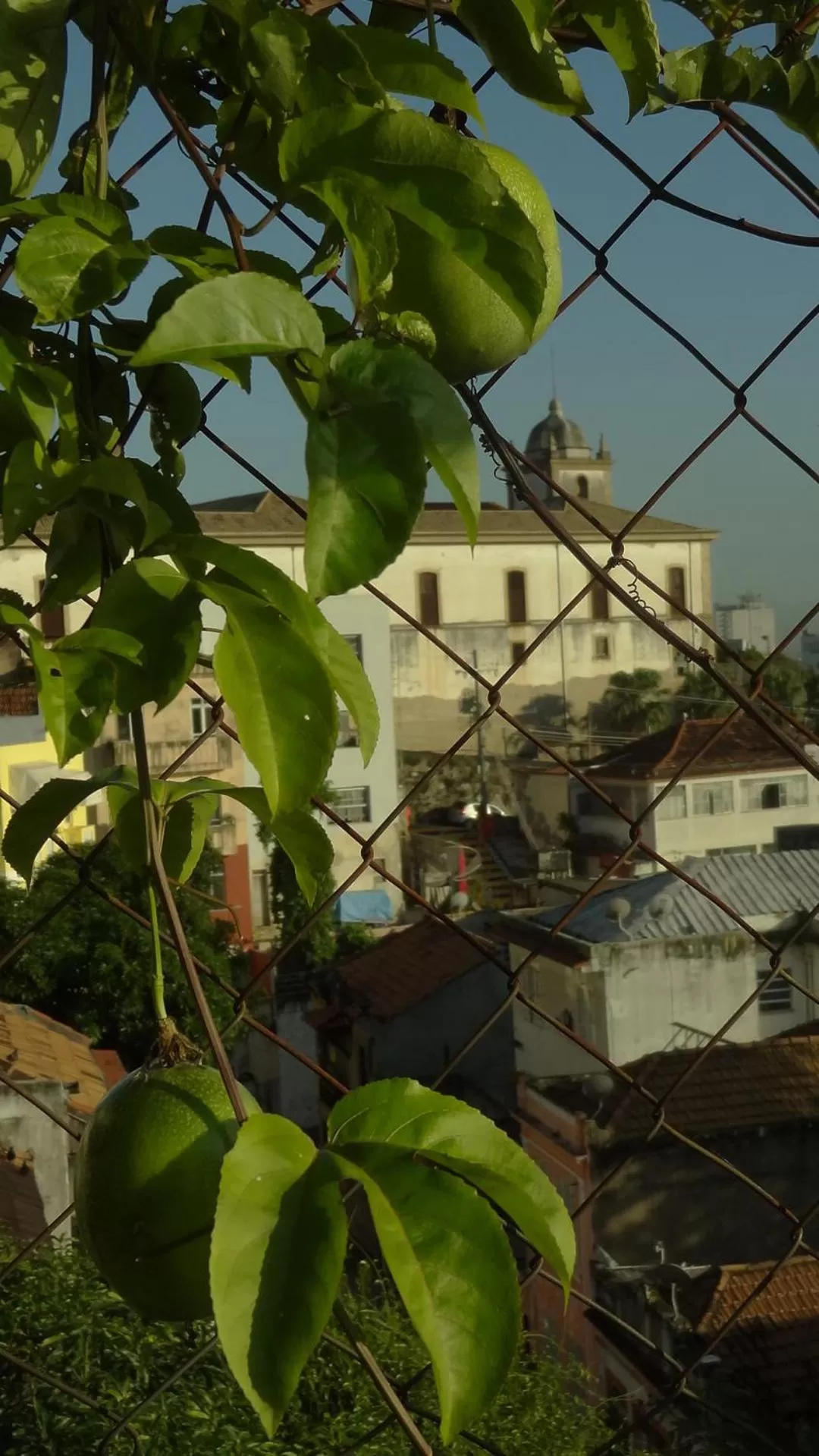 Day in Casa da Gente