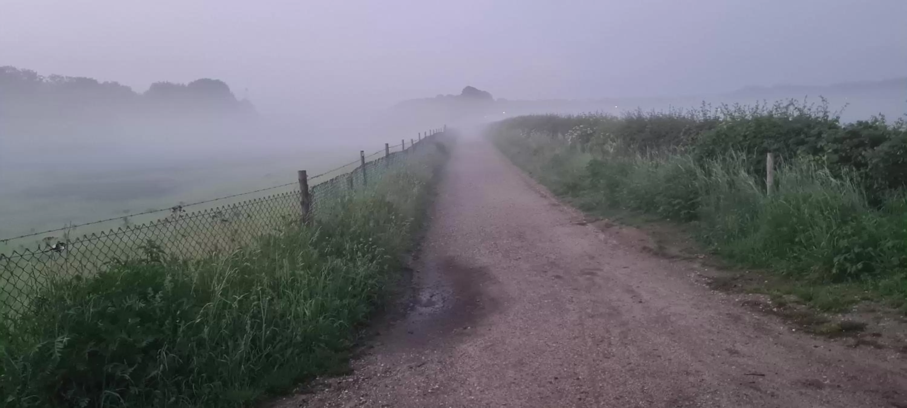 Natural landscape in Bed & Breakfast "Aan de Bagijnstraat".