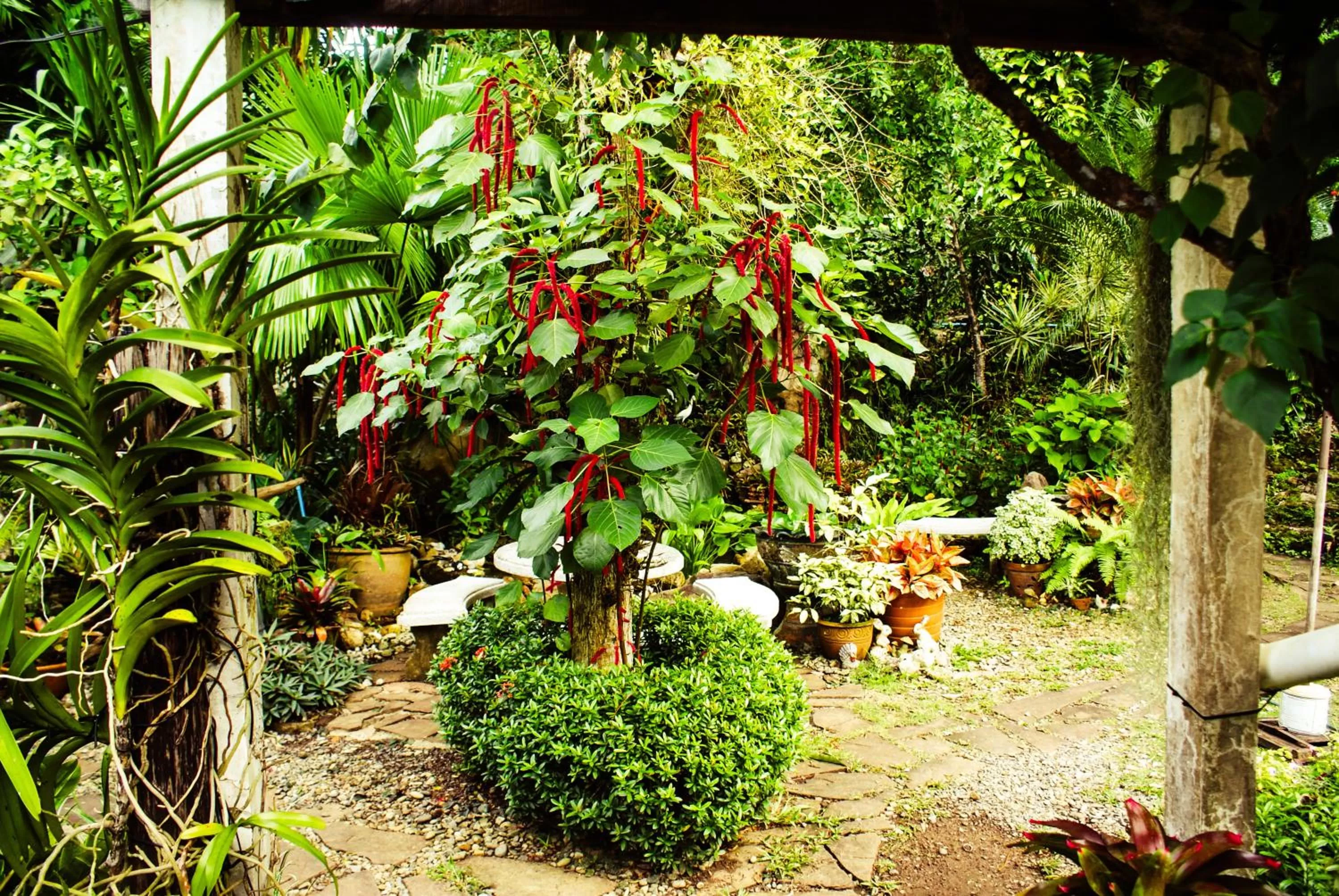 Garden view, Garden in Rock Inn Bailan