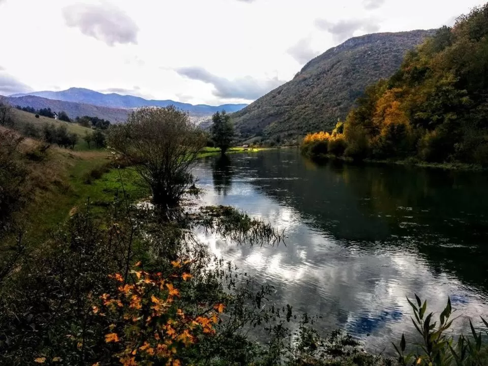 Bed and Breakfast Family Djukic