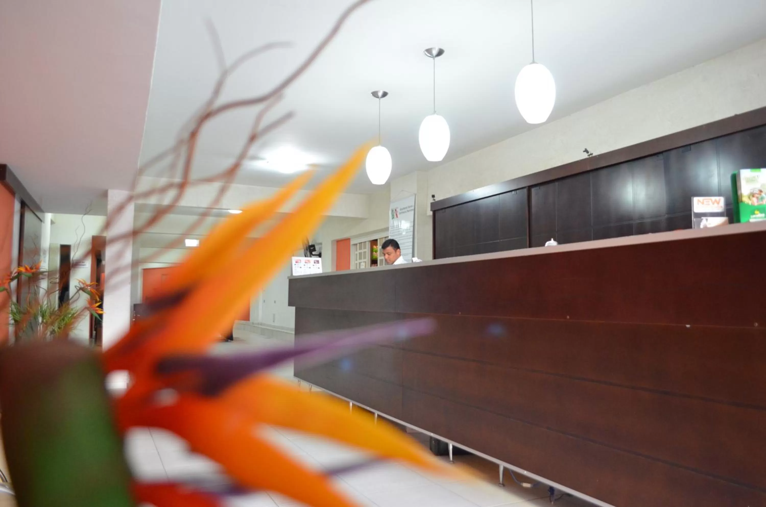 Lobby or reception, Lobby/Reception in Calabreza Hotel e Restaurante - By UP Hotel