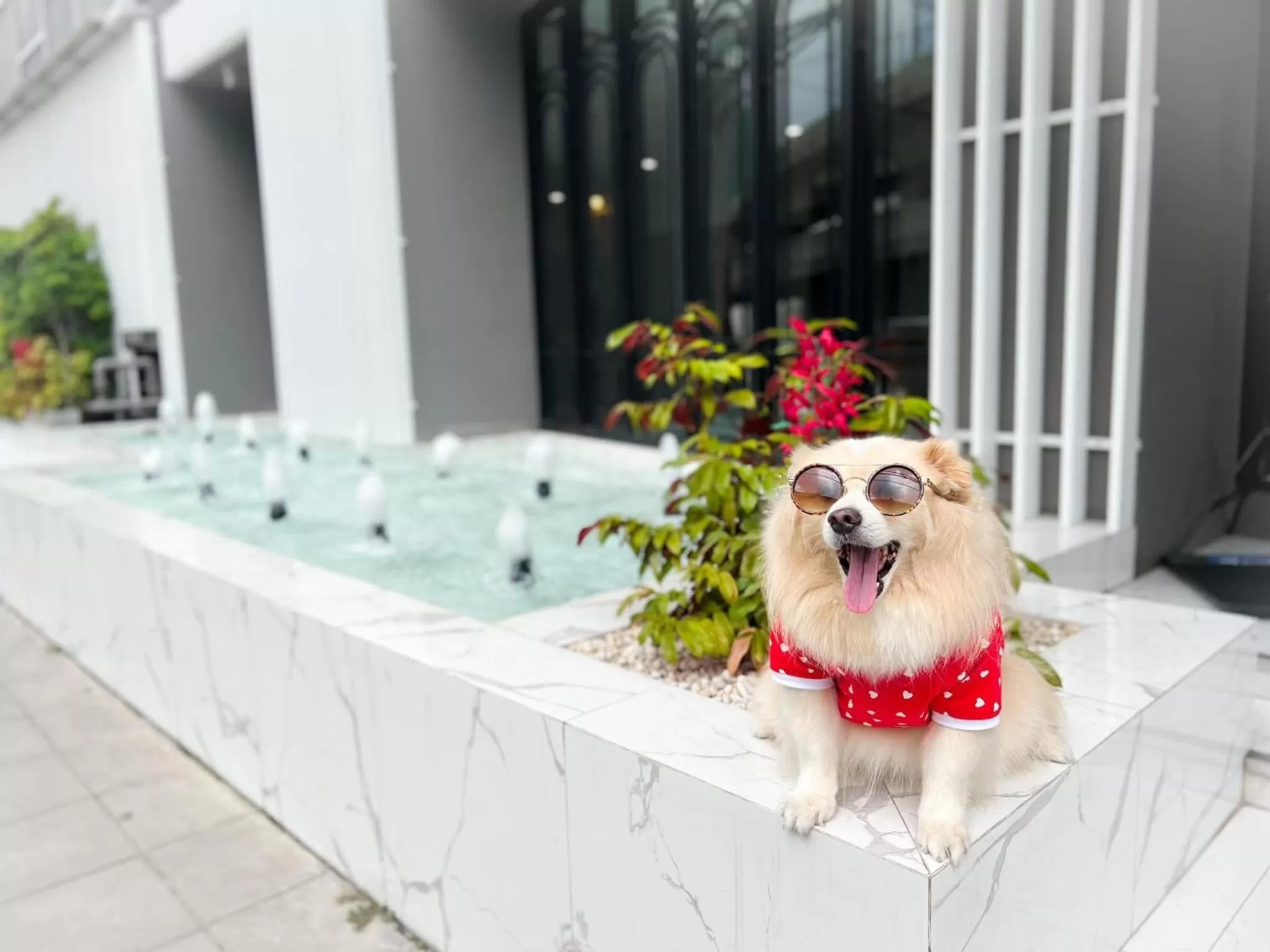 Pets in Oakwood Hotel & Residence Bangkok