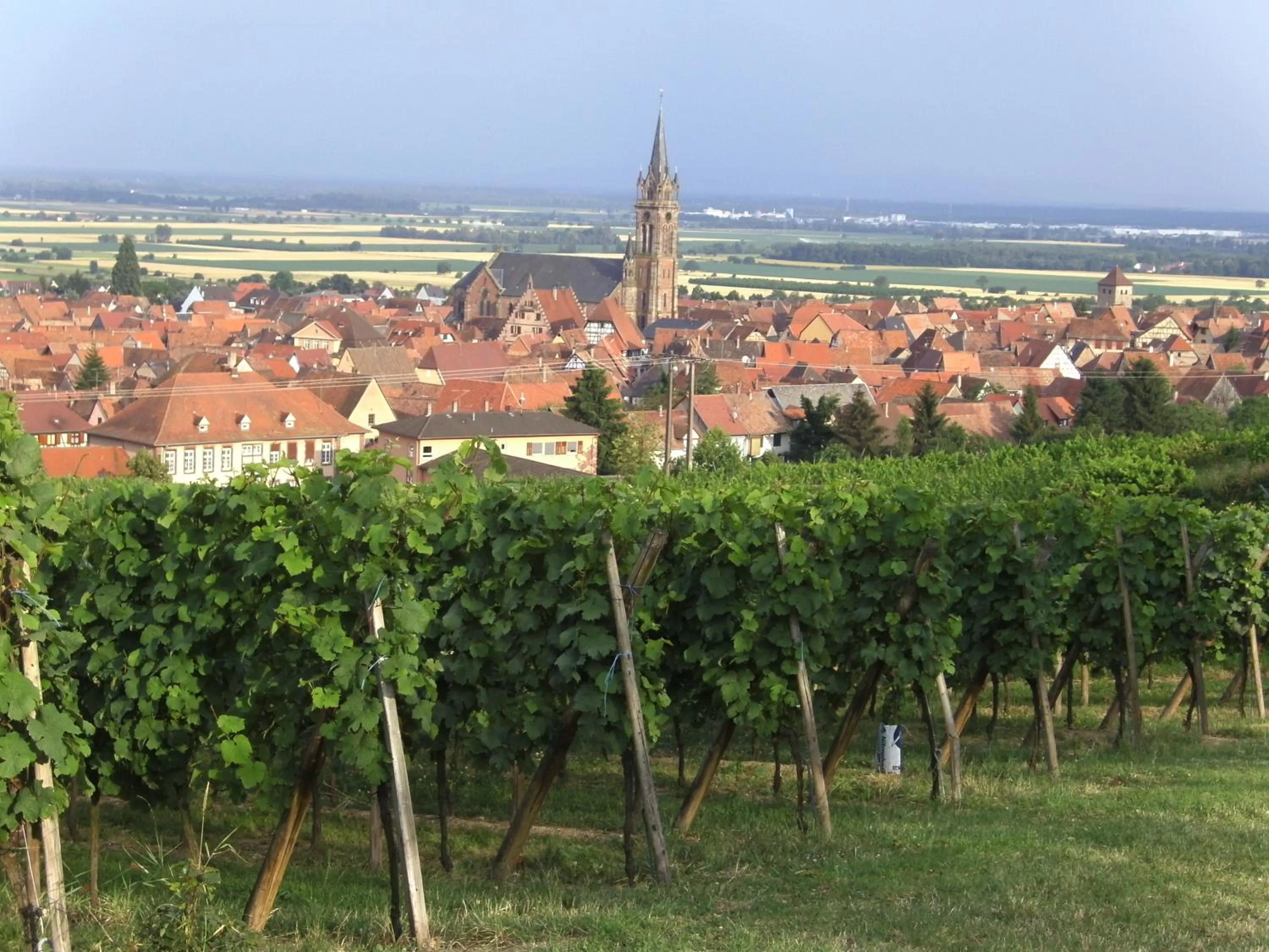 On site in Chambres d'Hôtes Arnold