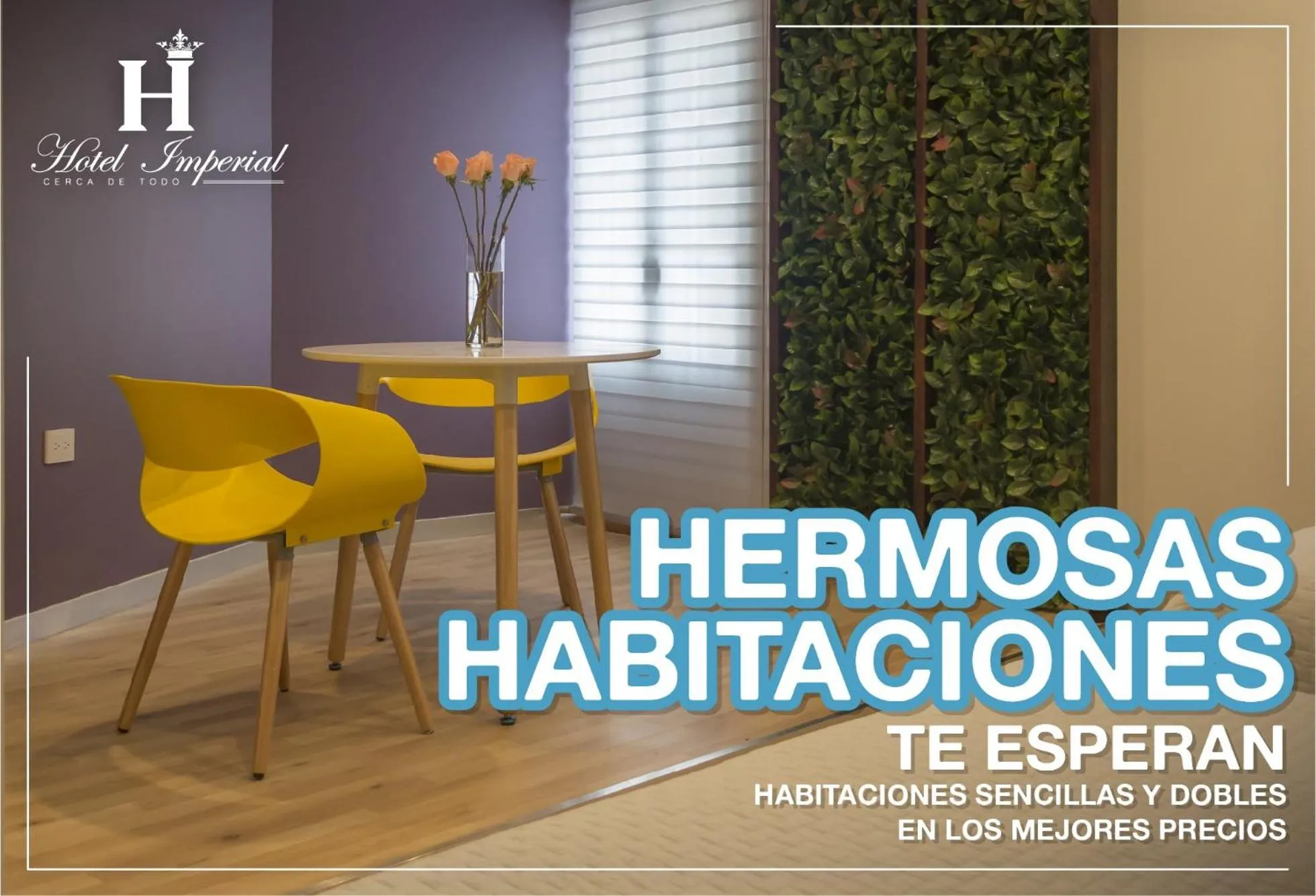 Area and facilities in Hotel Imperial