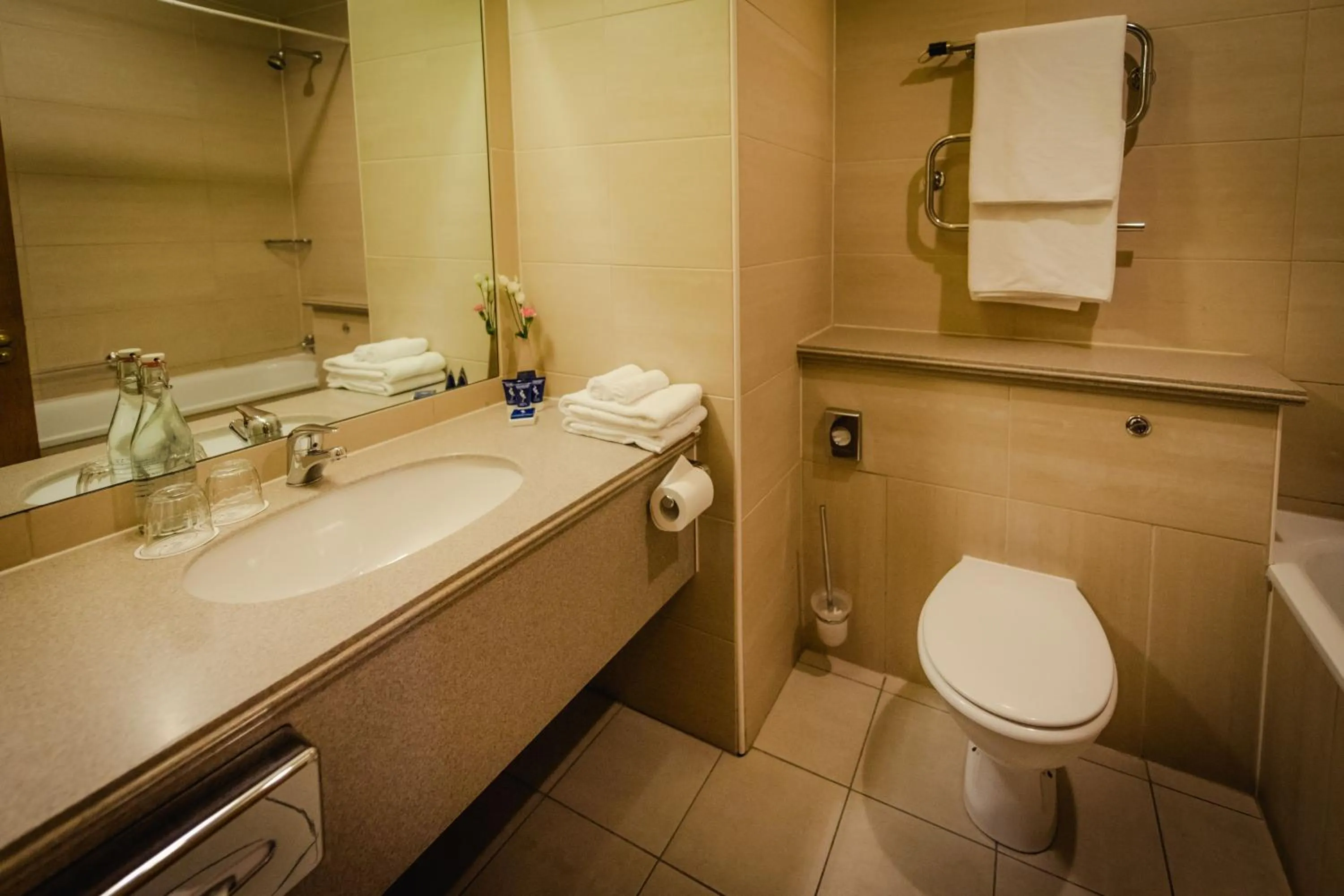 Toilet in Roganstown Hotel & Country Club