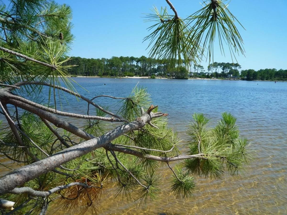 Natural landscape in Un Matin D’été