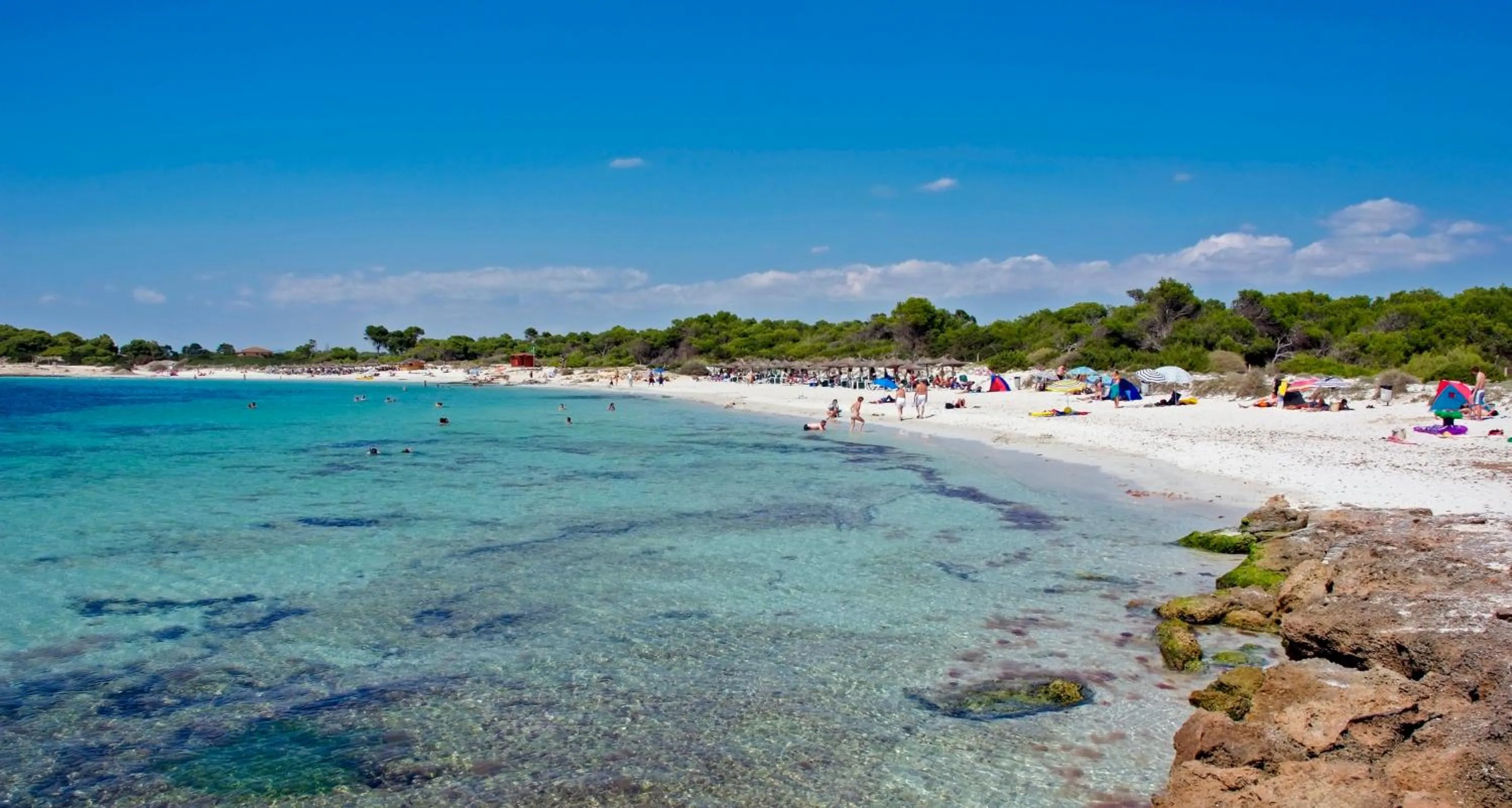Area and facilities, Beach in Hotel Isla de Cabrera
