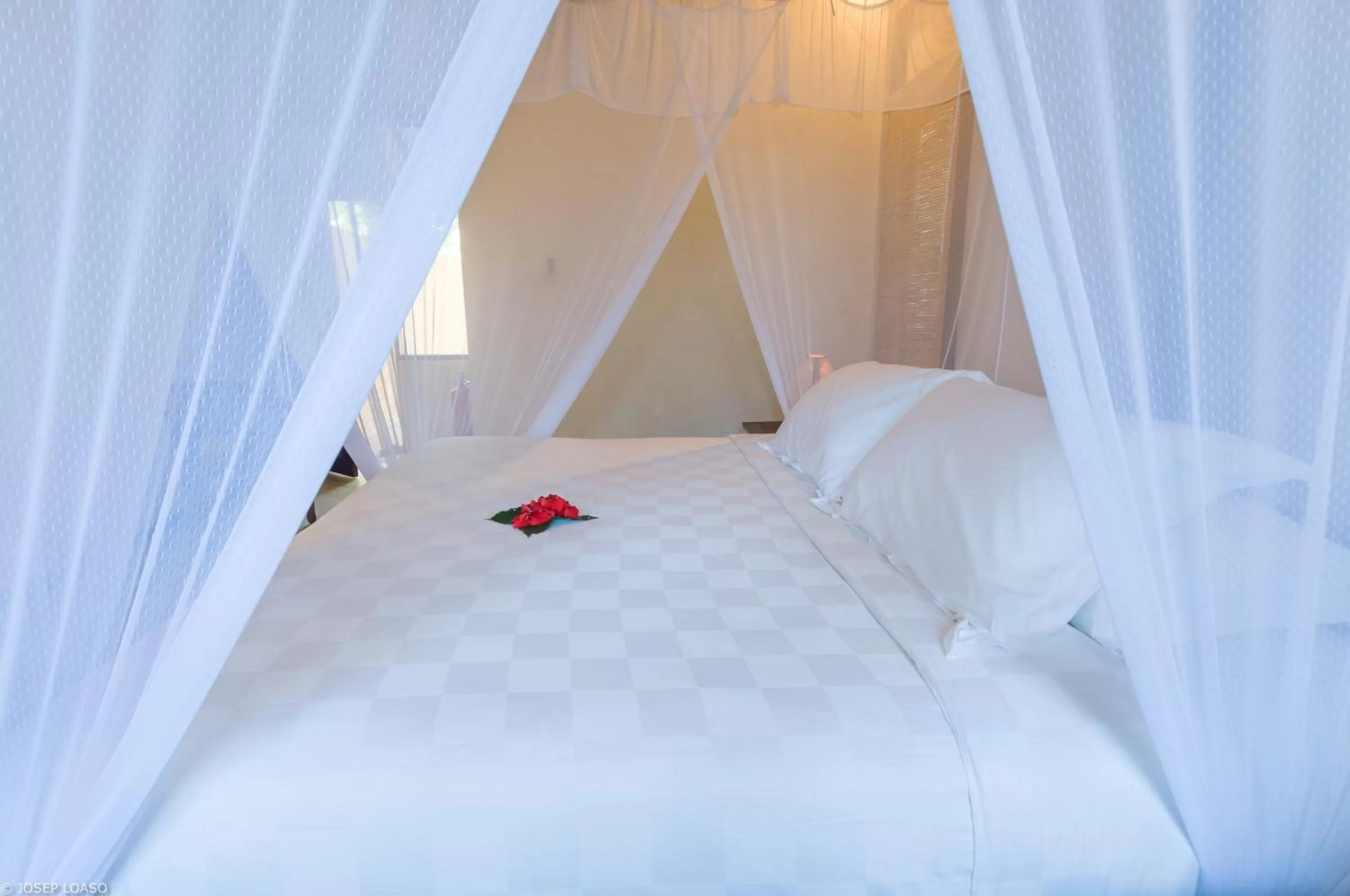 Garden Double Room in Naya Gawana Resort & Spa