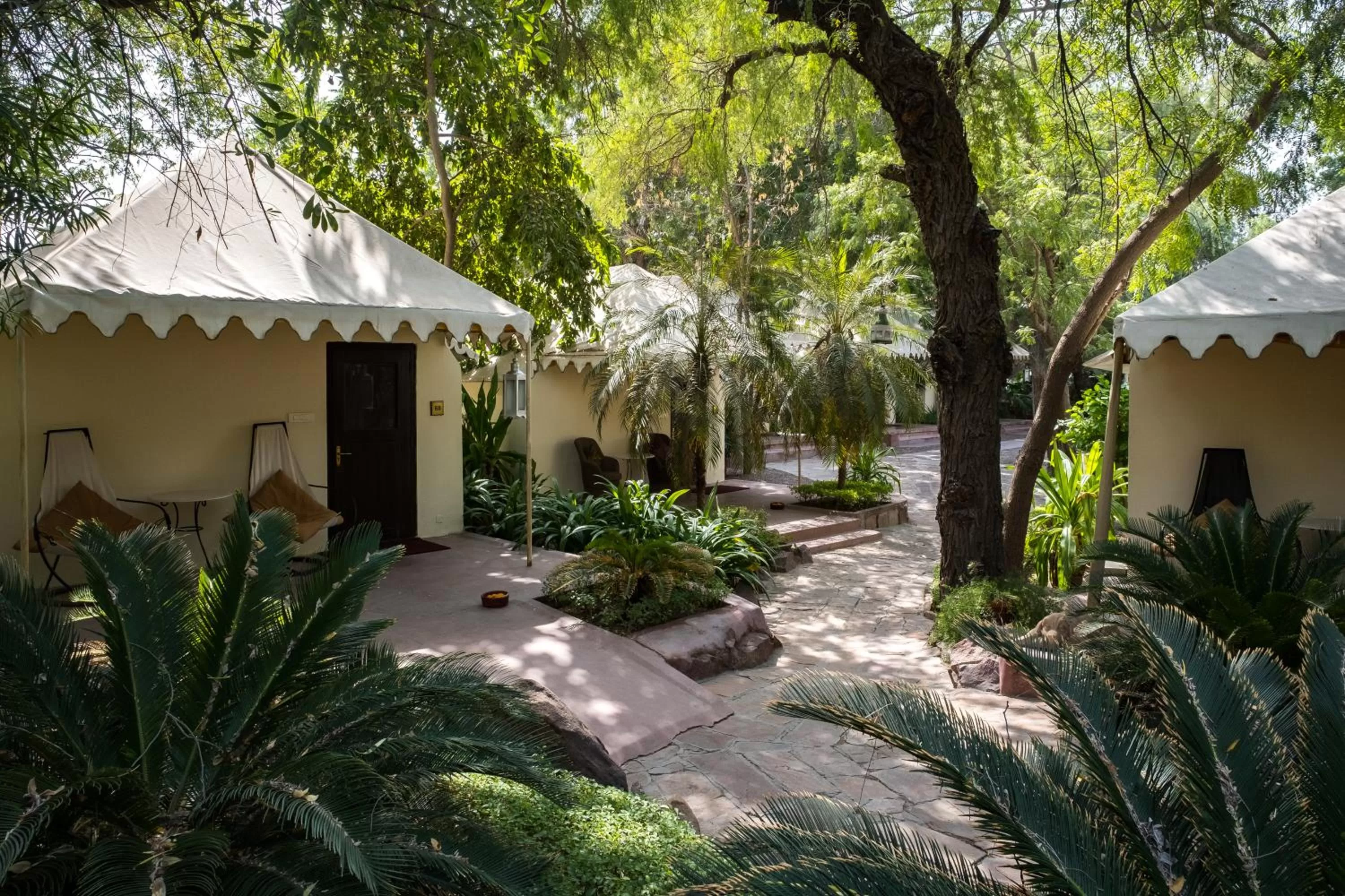 View (from property/room) in Ajit Bhawan - A Palace Resort