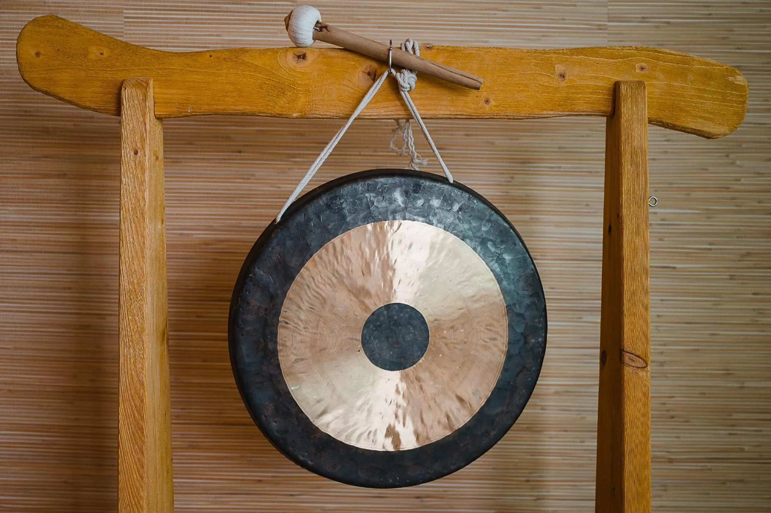 Activities in Insel der Sinne