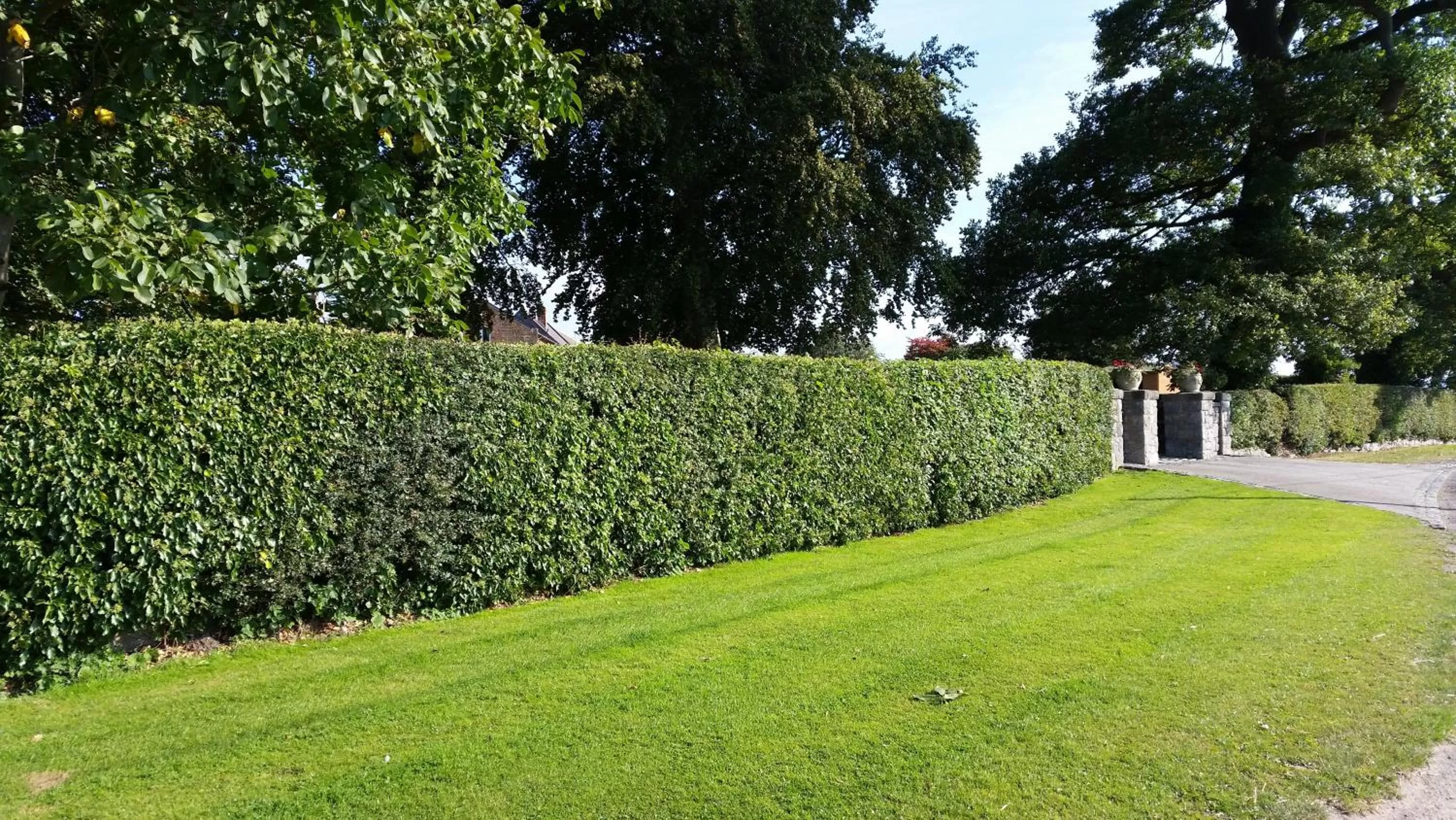 Garden in Ty Derw Country House B&B