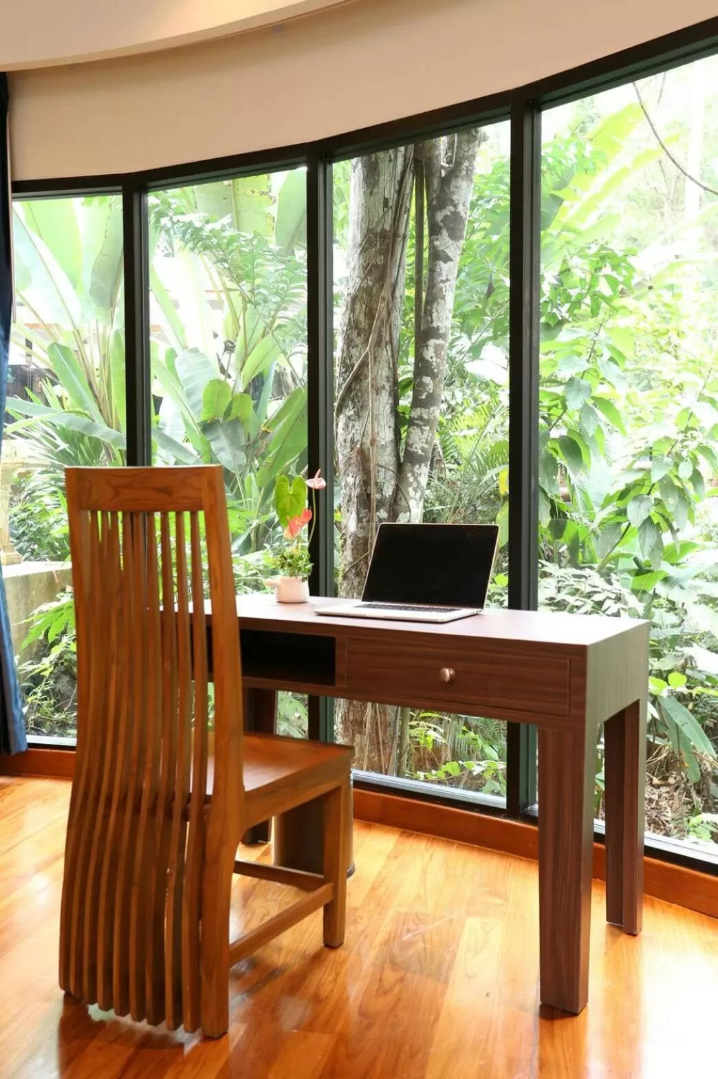Living room, TV/Entertainment Center in Rock and Tree House Resort