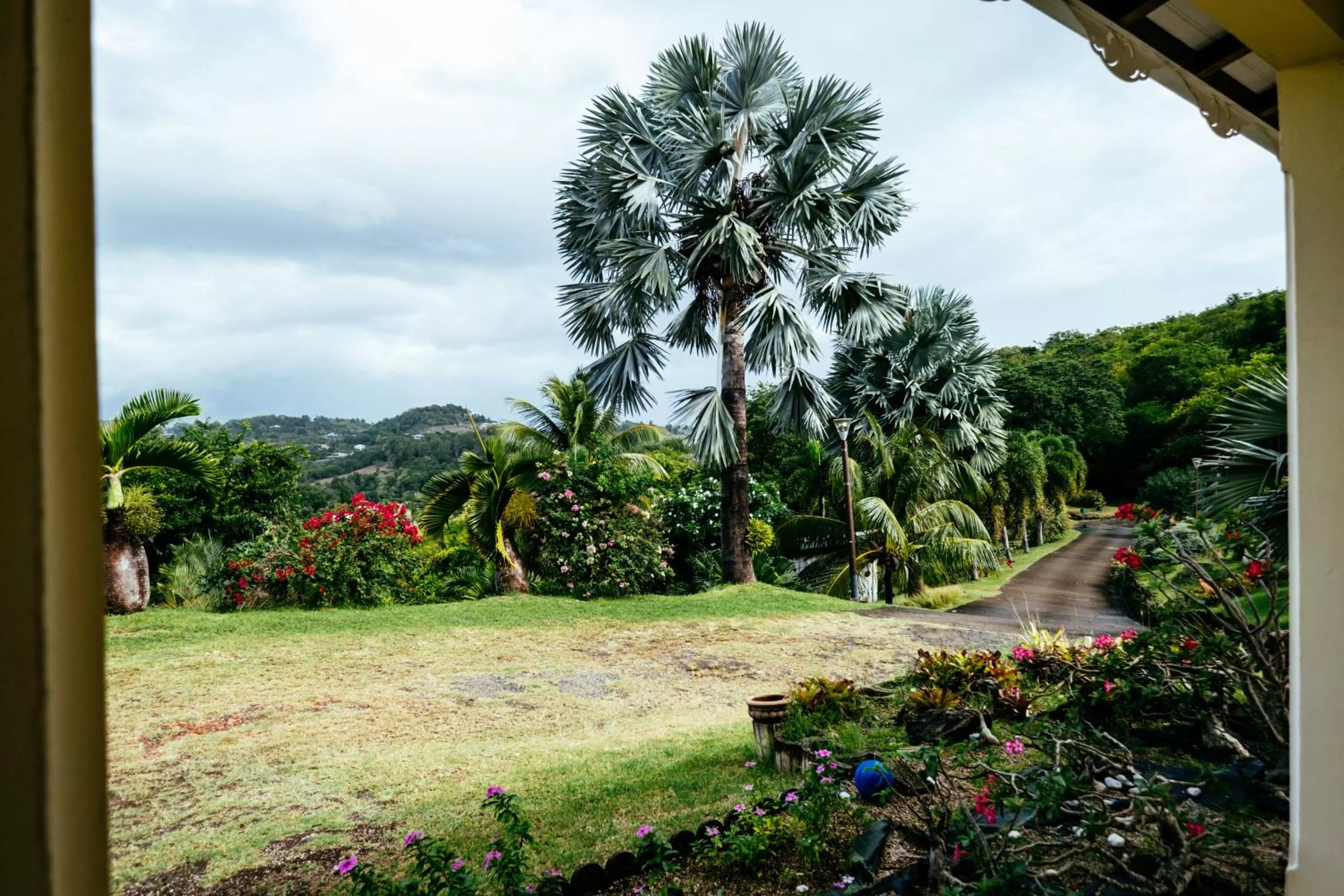 Garden view in Bed and breakfast Riviere