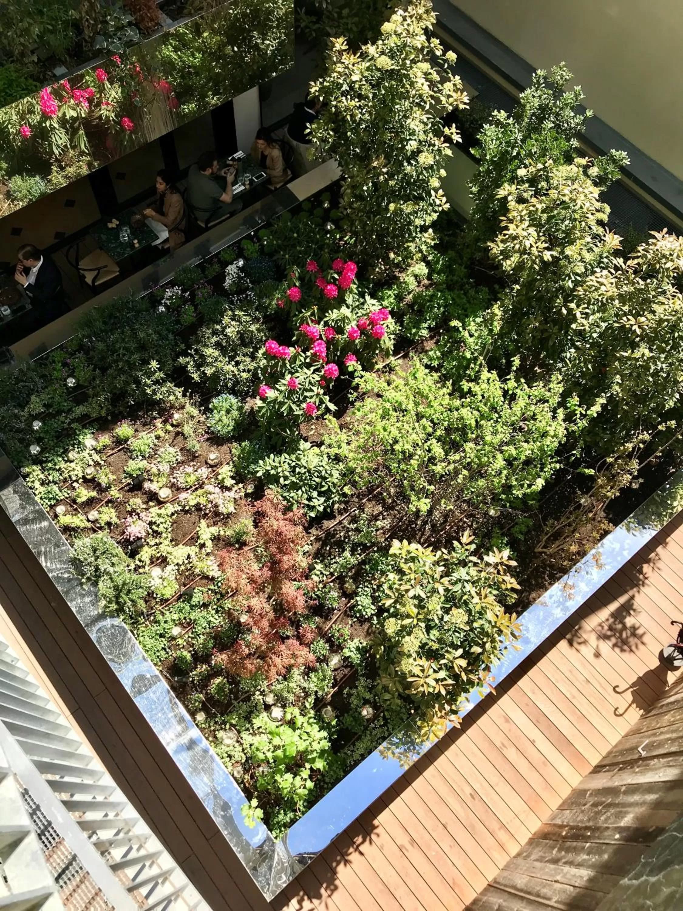 Garden view in Hotel Parister Piscine & Spa