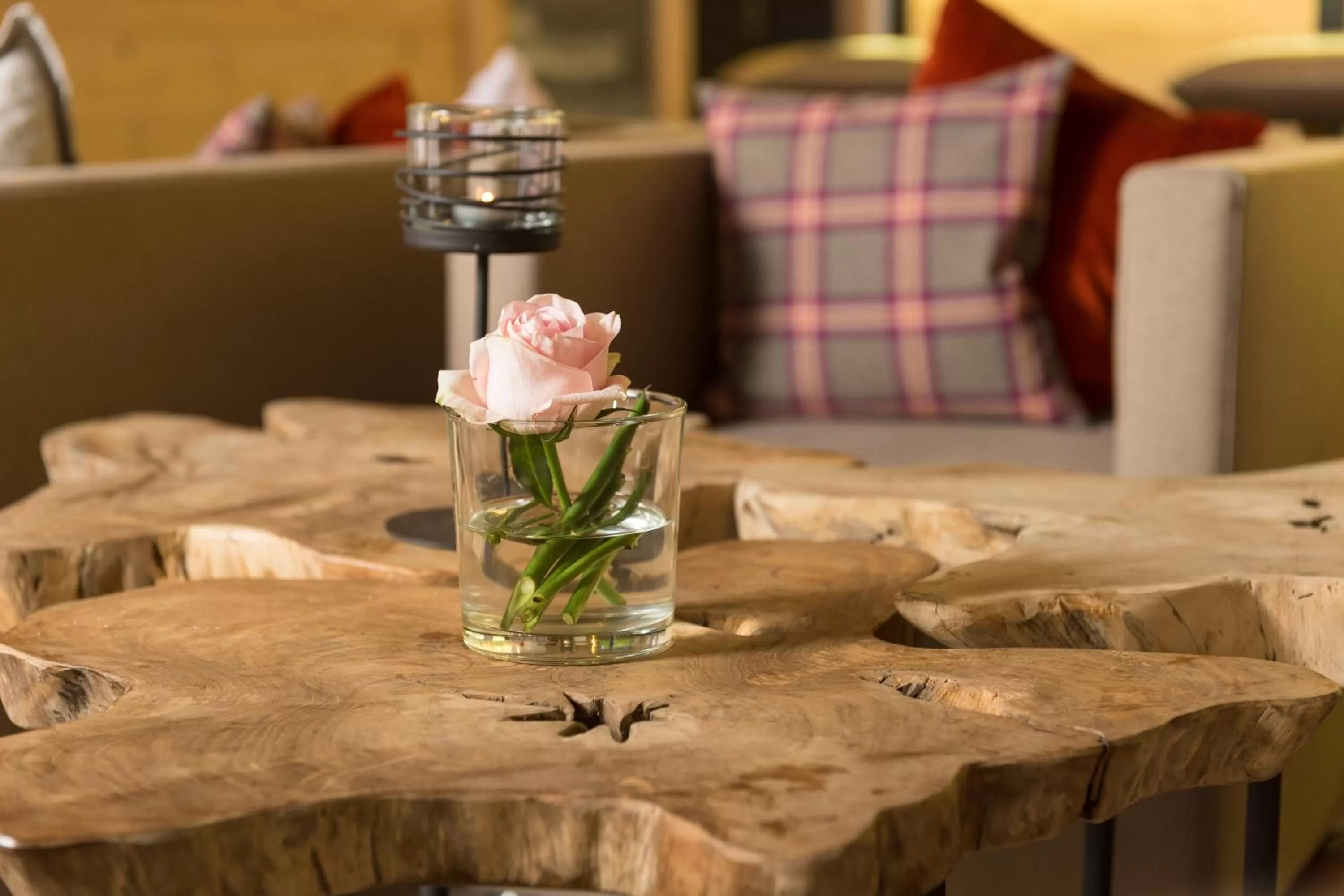 Lounge or bar in Hotel Diana