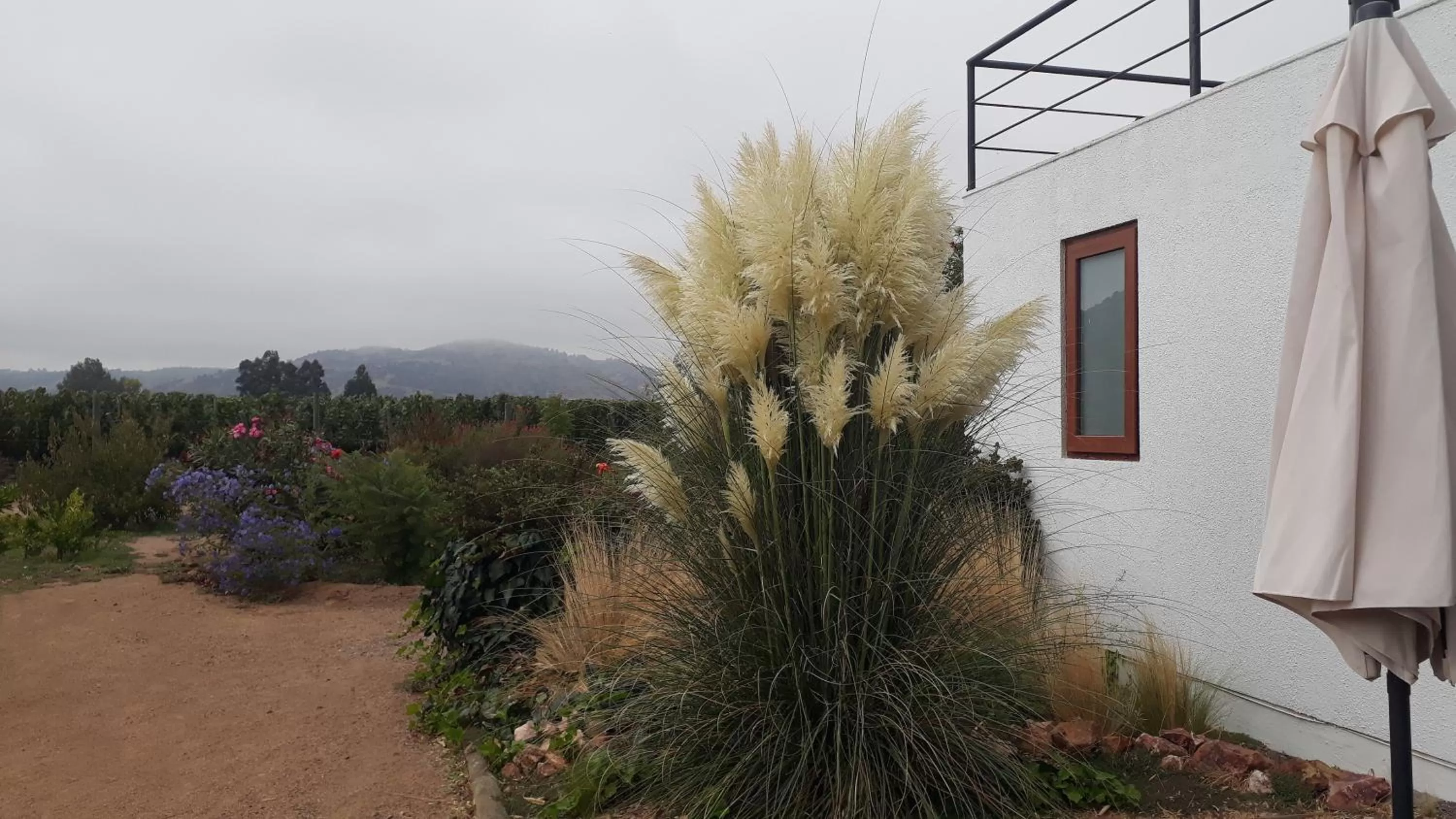 Garden view in Callihue Lodge