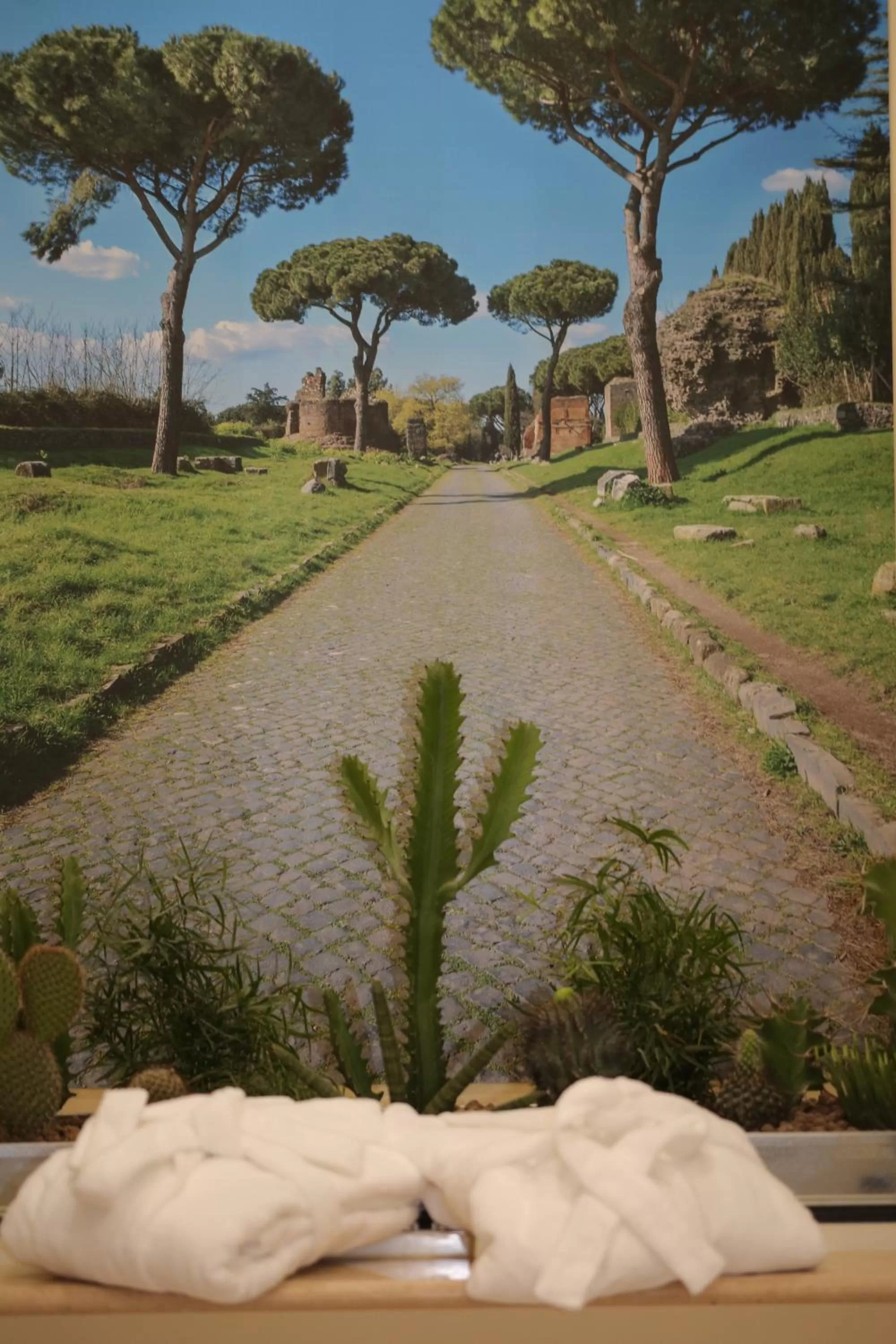 View (from property/room) in Esposizione Palace Hotel