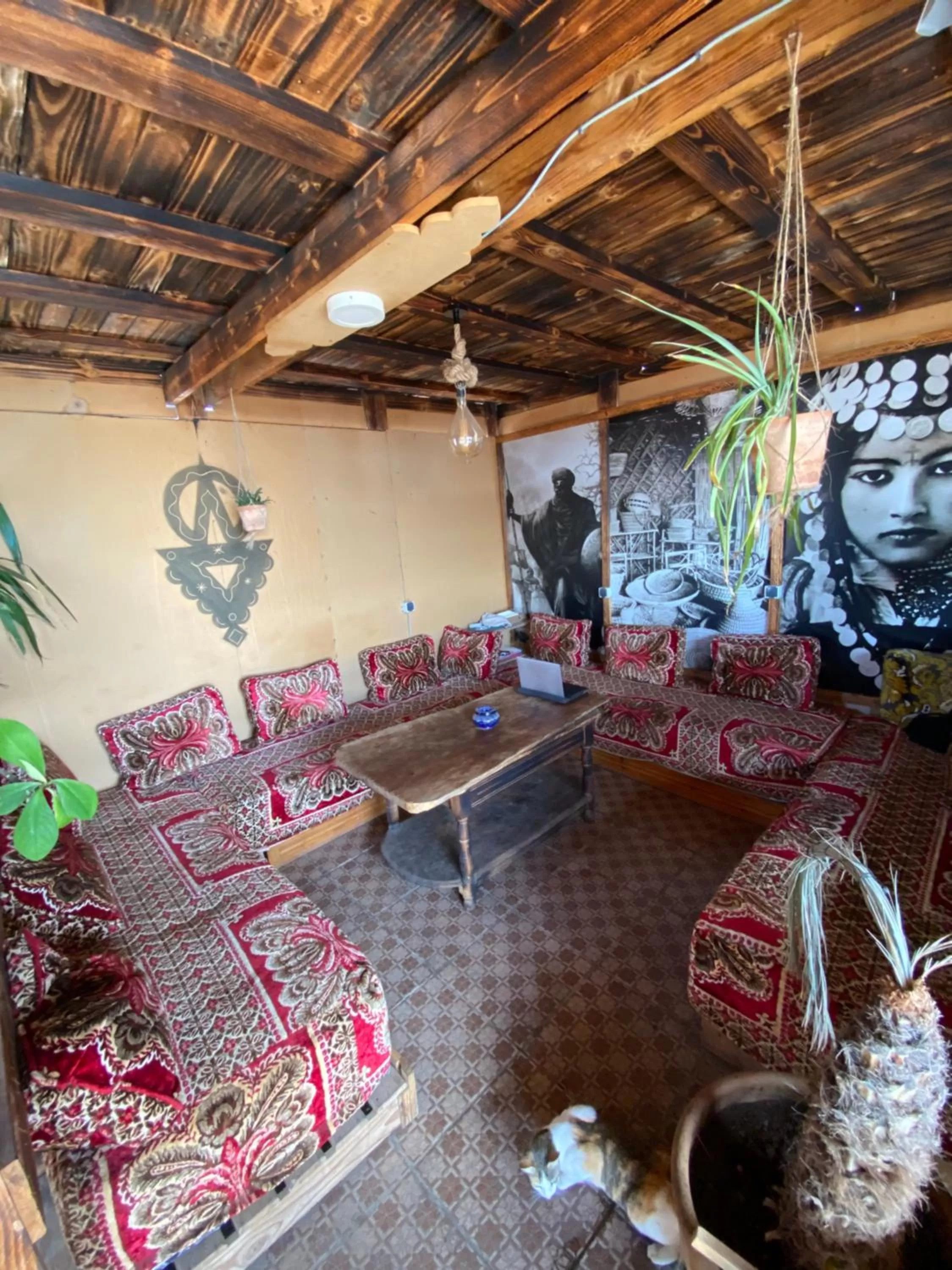 Balcony/Terrace in Anza surfhouse