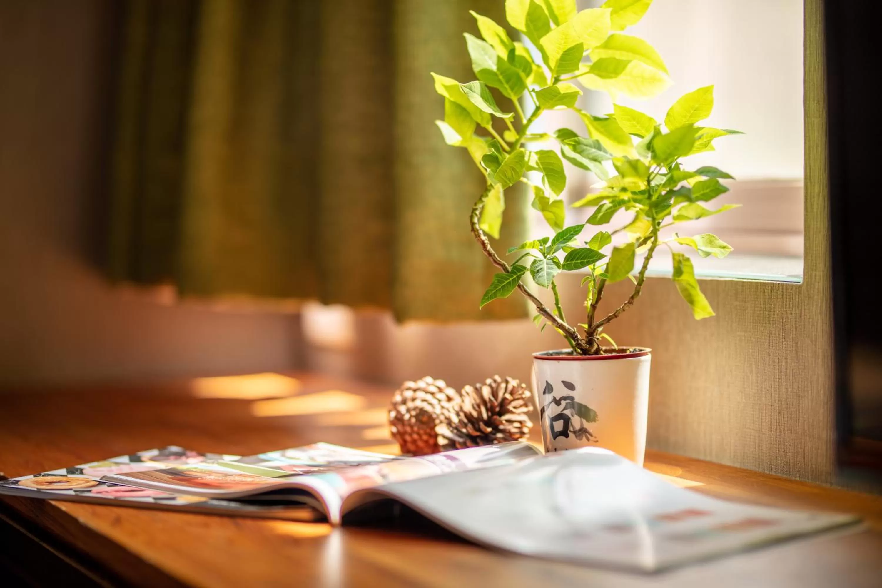 Photo of the whole room in Goodmore Hotel