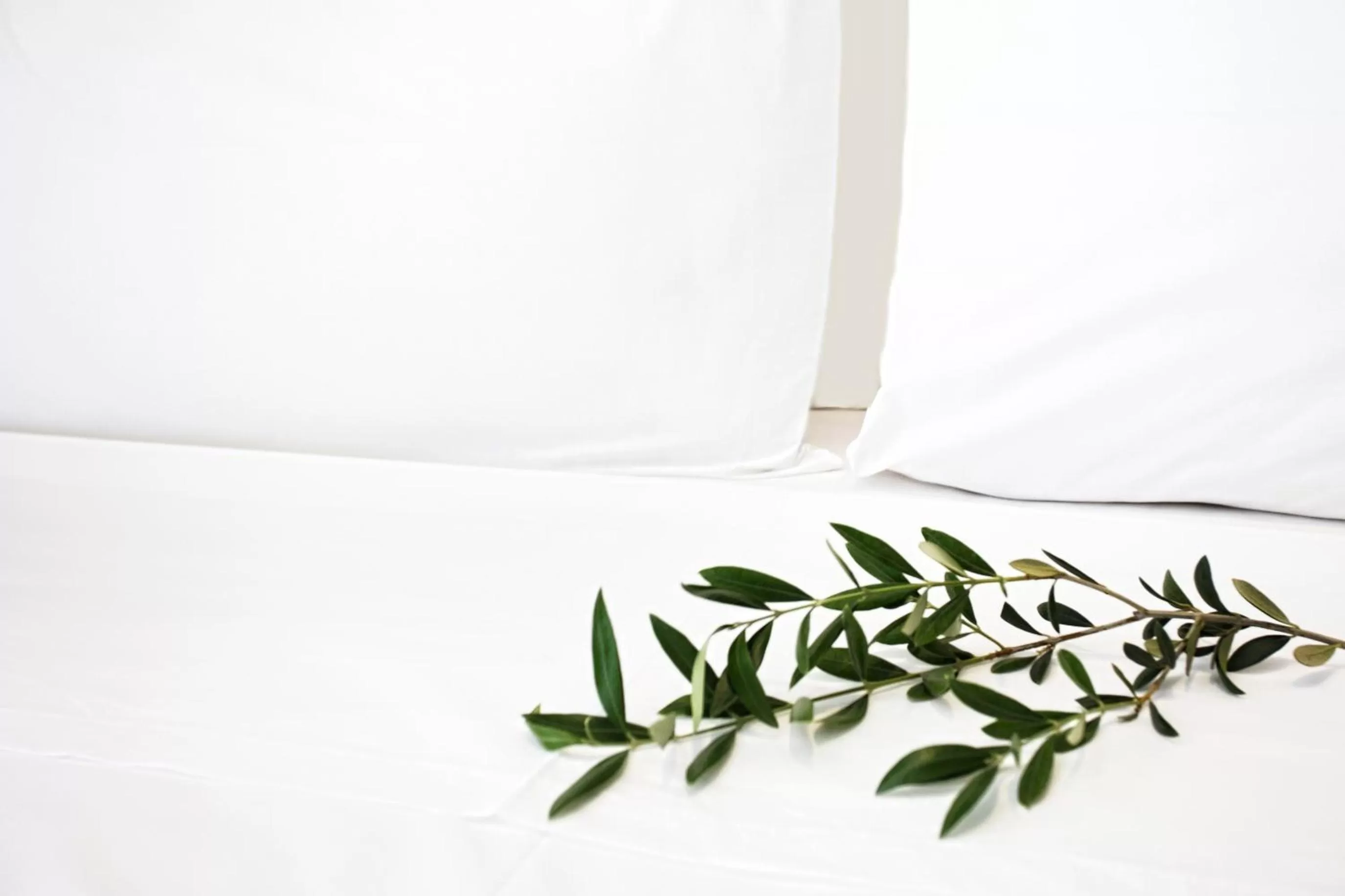 Bed in Atlas Skiathos