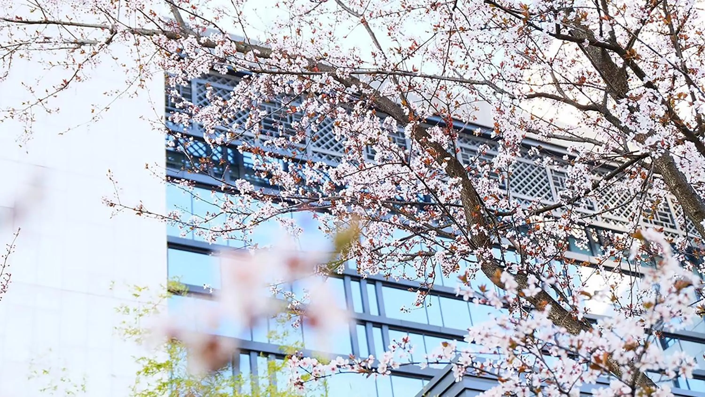 Property building in Crowne Plaza Huangshan Yucheng by IHG