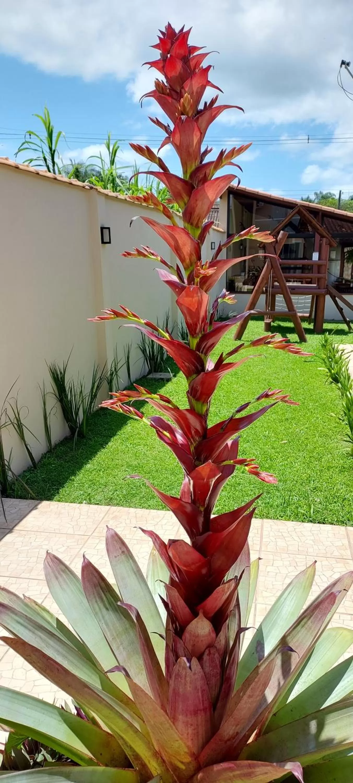 Garden view, Swimming Pool in Pousada das Saíras
