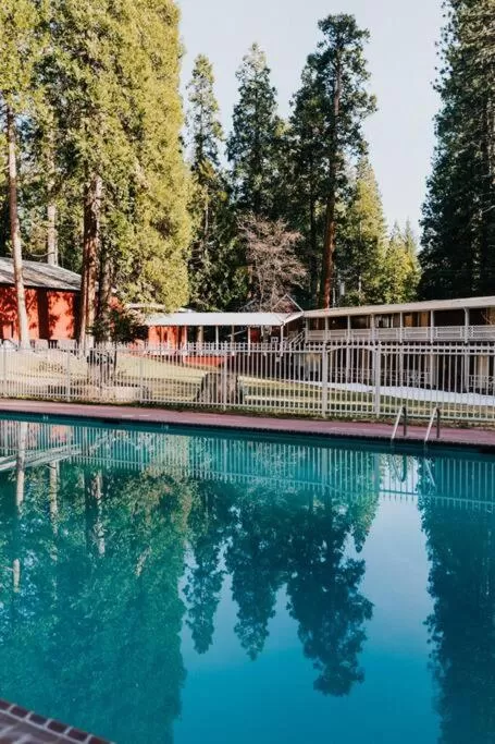 Swimming pool in The Long Barn Lodge