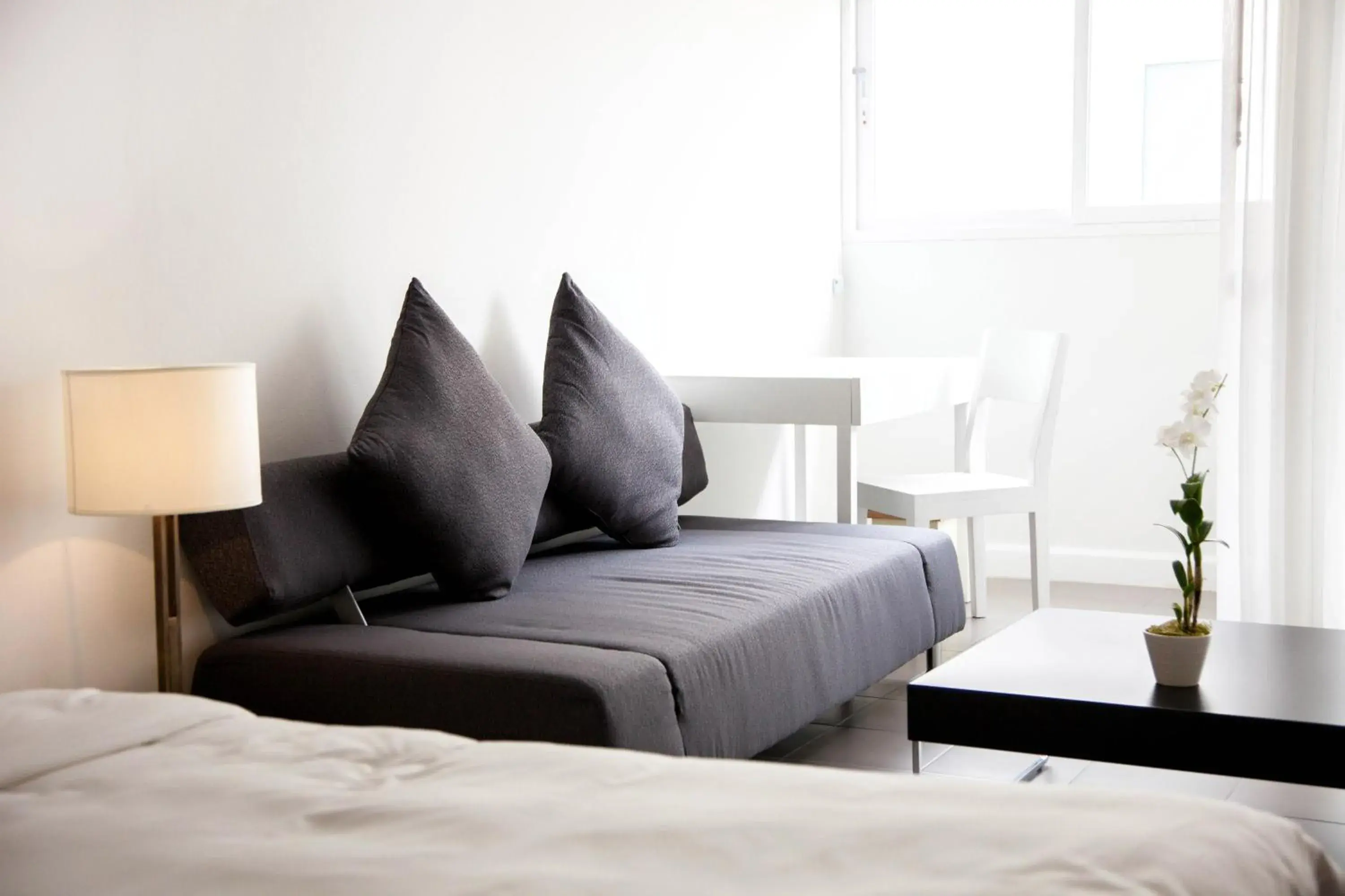 DayLight Family in Nap Patong DayLight Family in Nap Patong