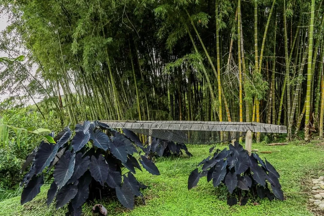 Garden in Ecohotel Monte Tierra Habitaciones y Glamping