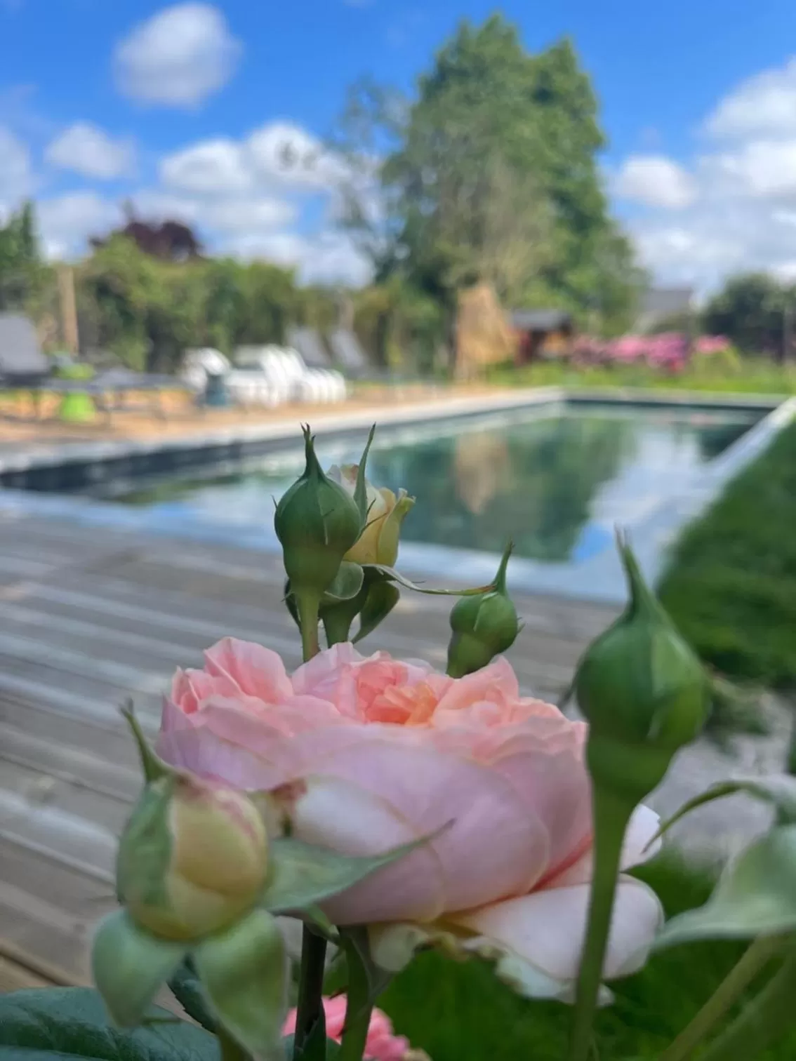 Swimming pool in la_grande_guerais