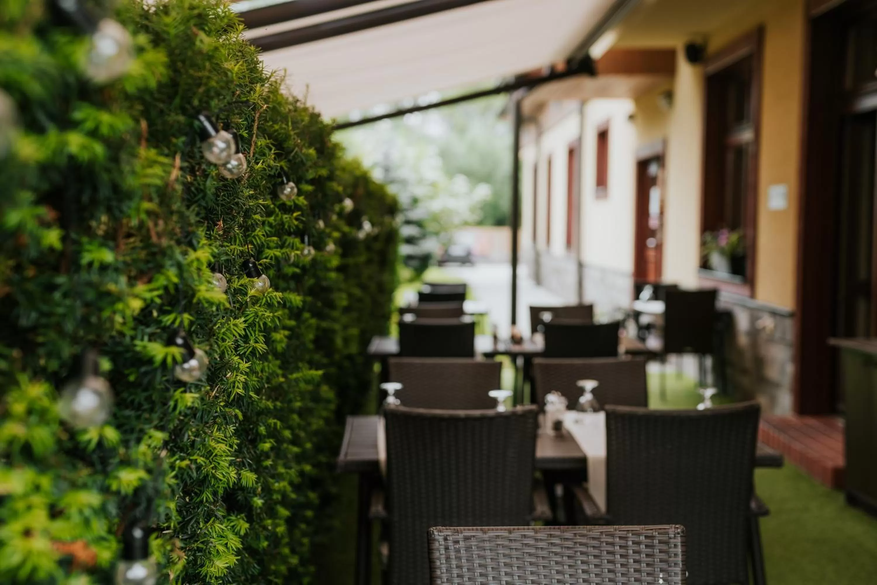 Restaurant/places to eat in Penzion Drak