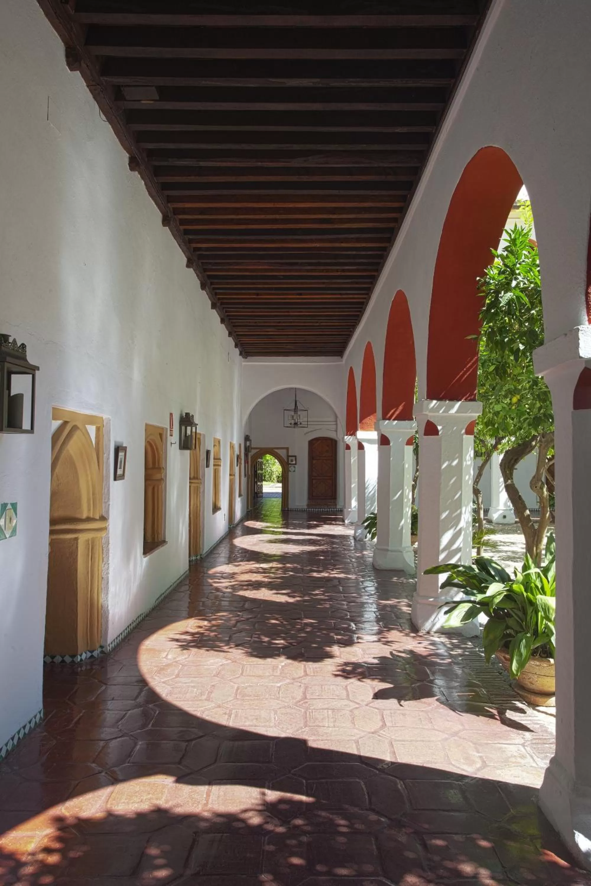 Summer in Parador de Guadalupe