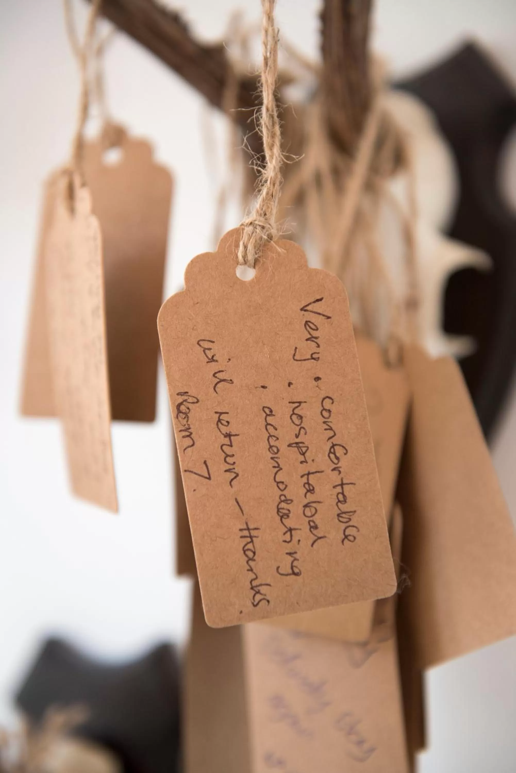 Decorative detail in Jorvik House