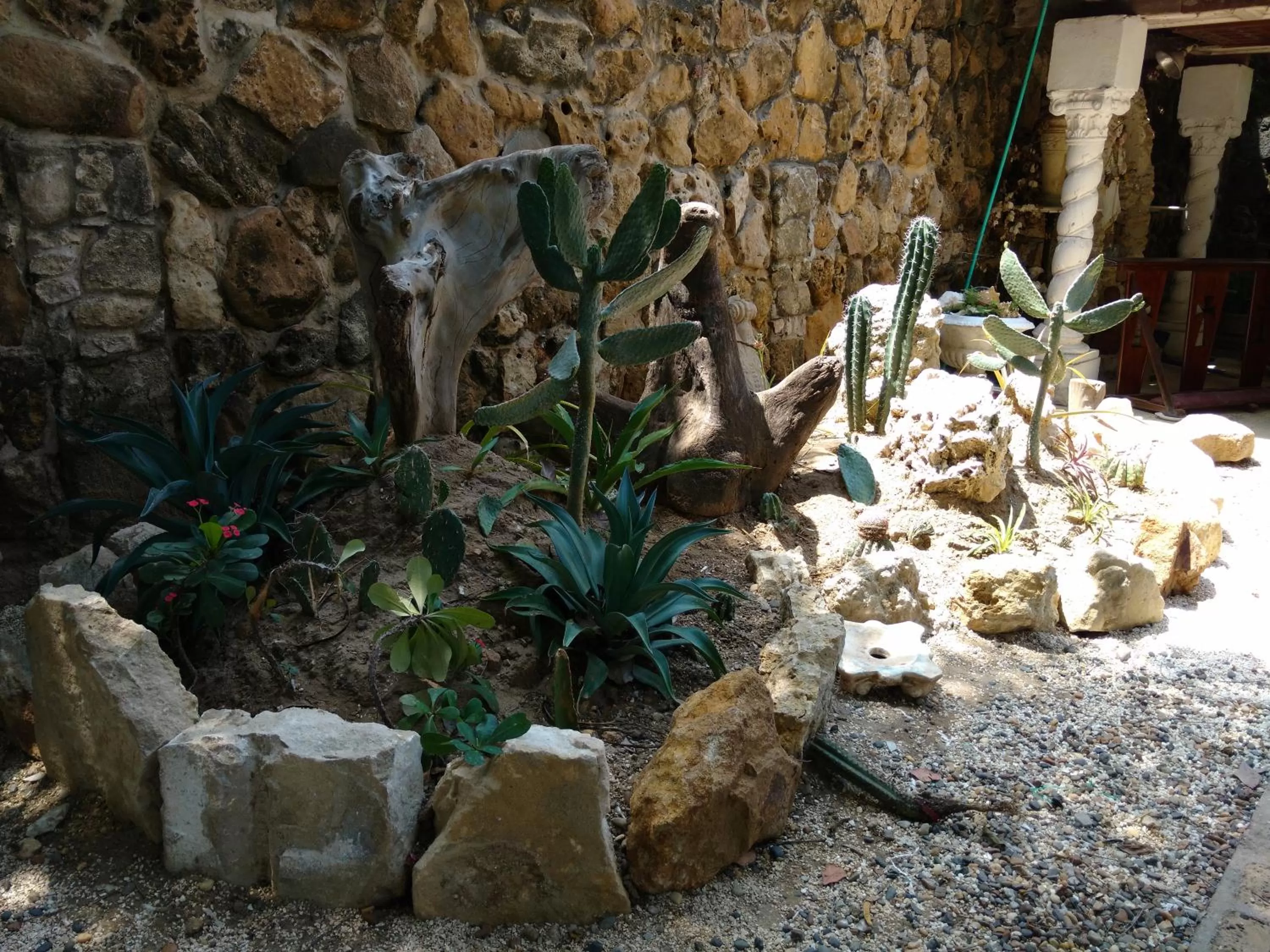 Garden in Hotel Boutique Casa Berastegui