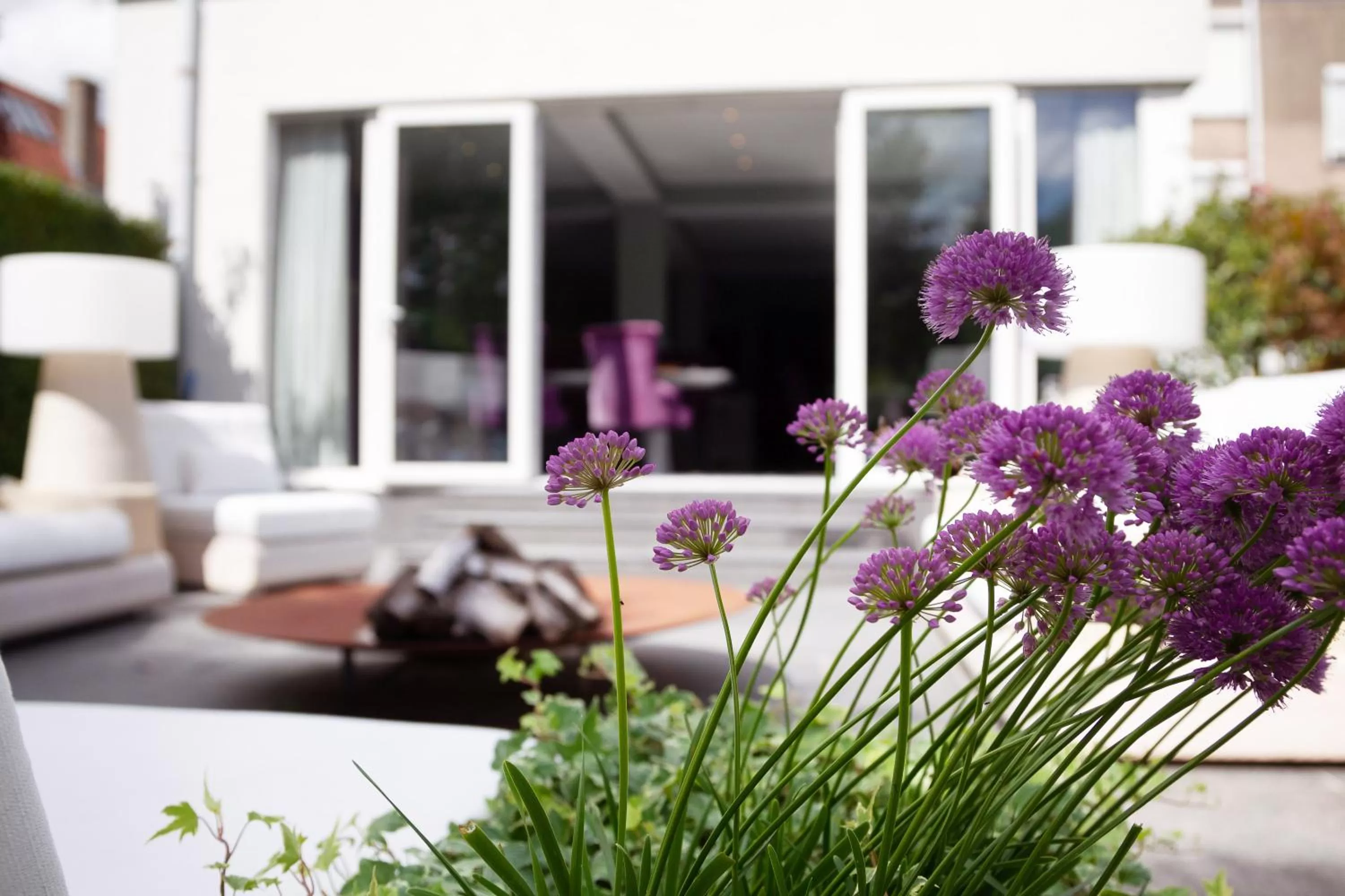 Garden in B&B Saint-Georges -Located in the city centre of Bruges-