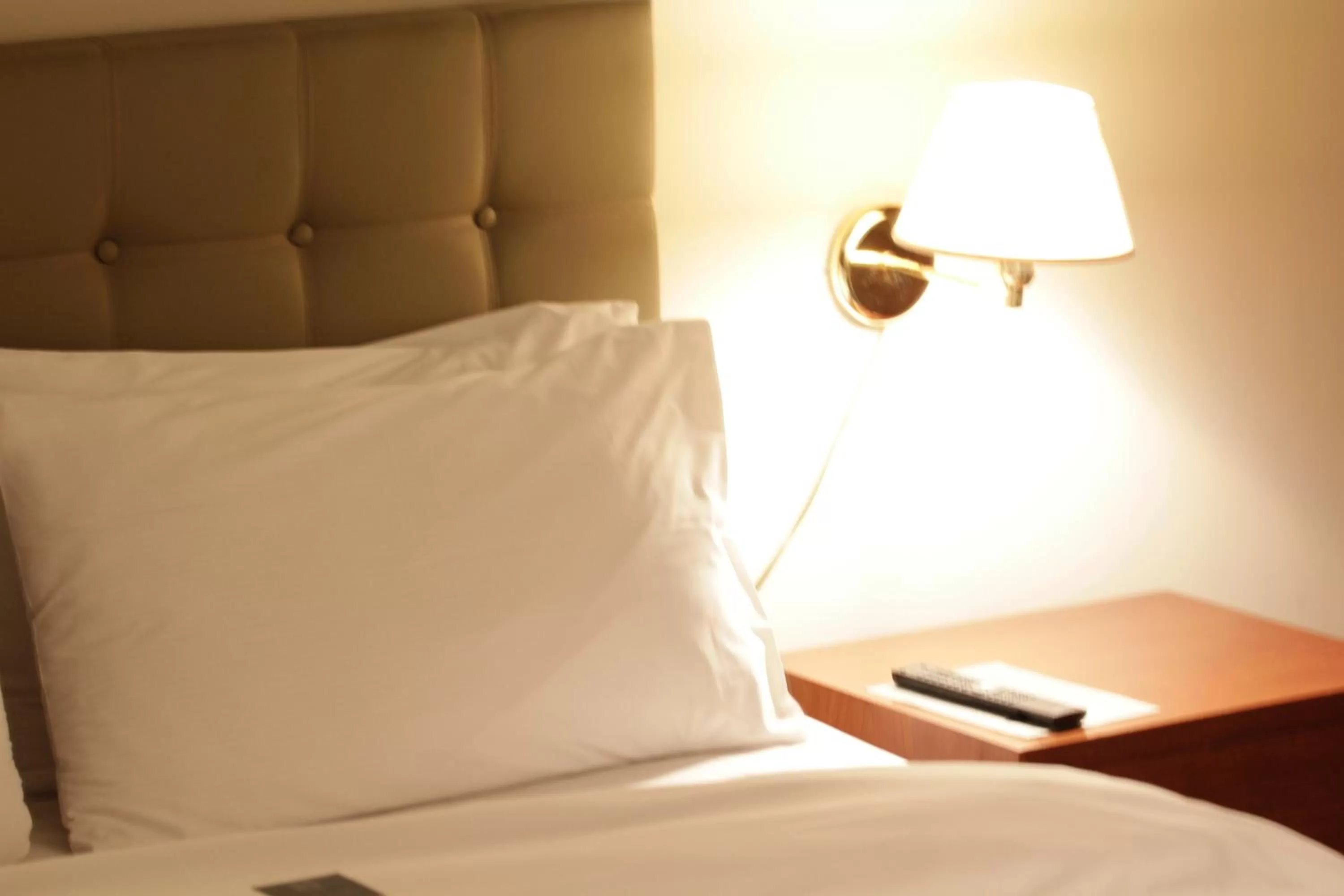 Night, Bed in Plaza Hotel Beirut