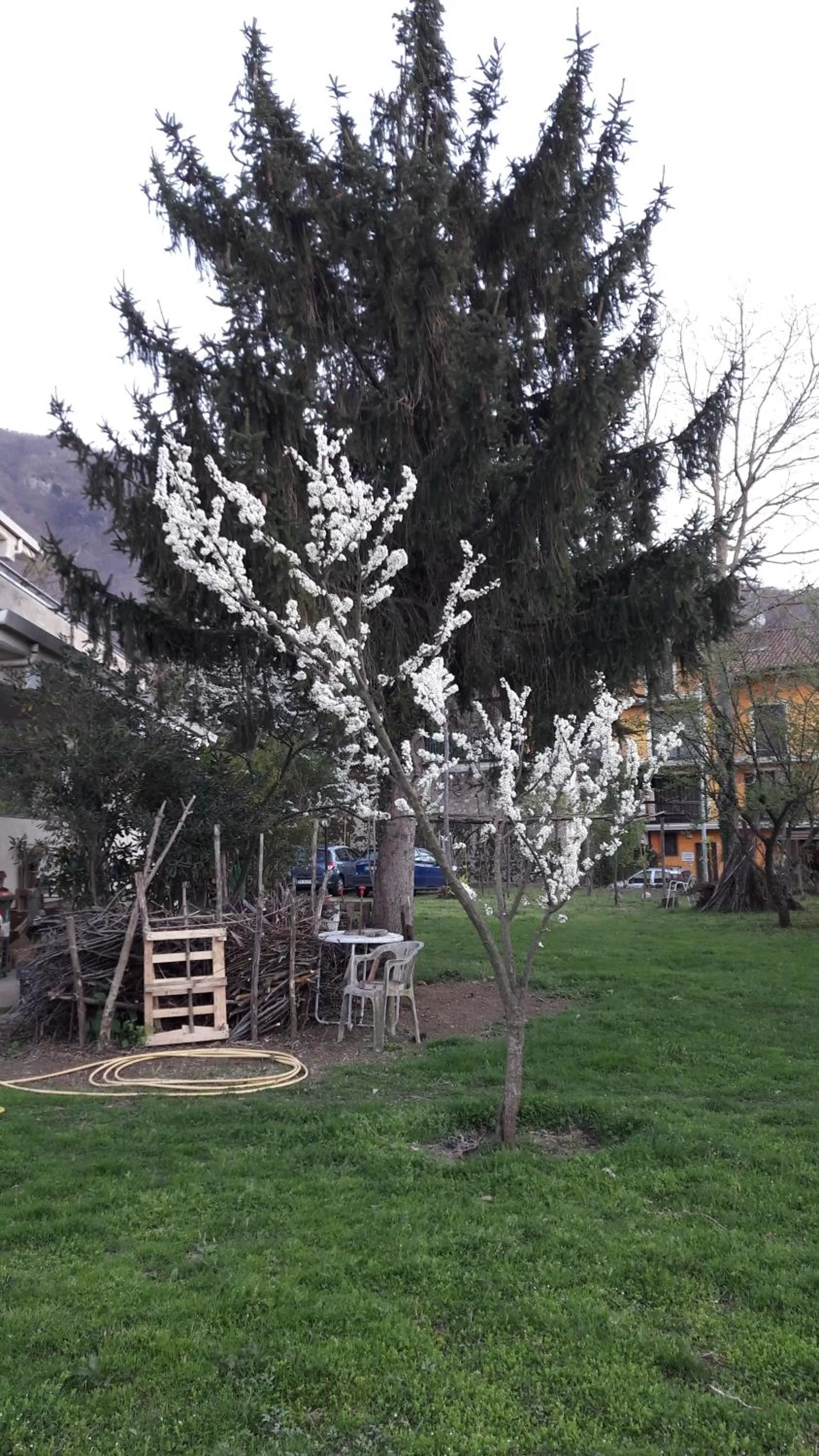 Garden in B&B Sun Garden